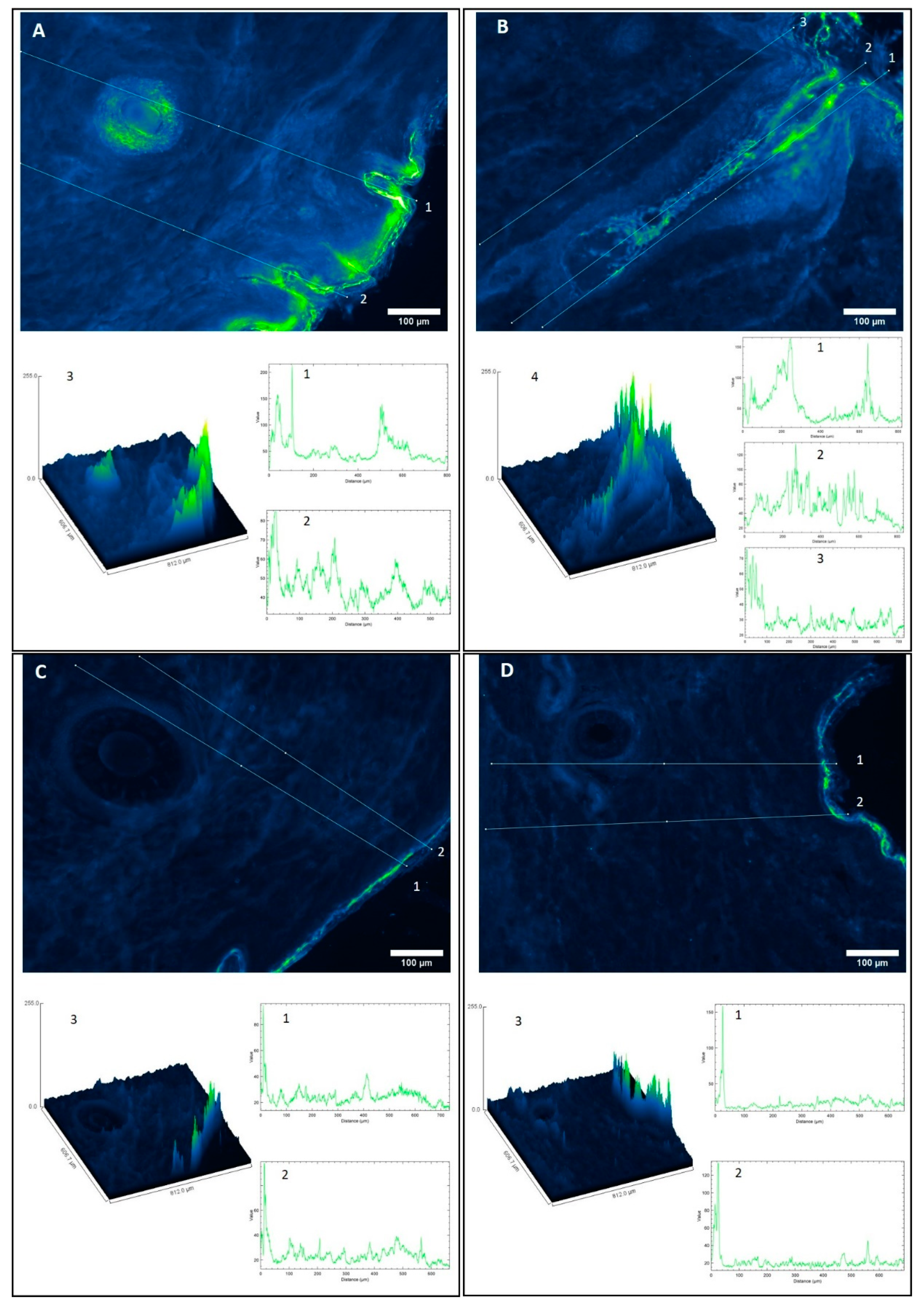 Pharmaceutics 13 00533 g006 Pharmaceutics 13 00533 g006