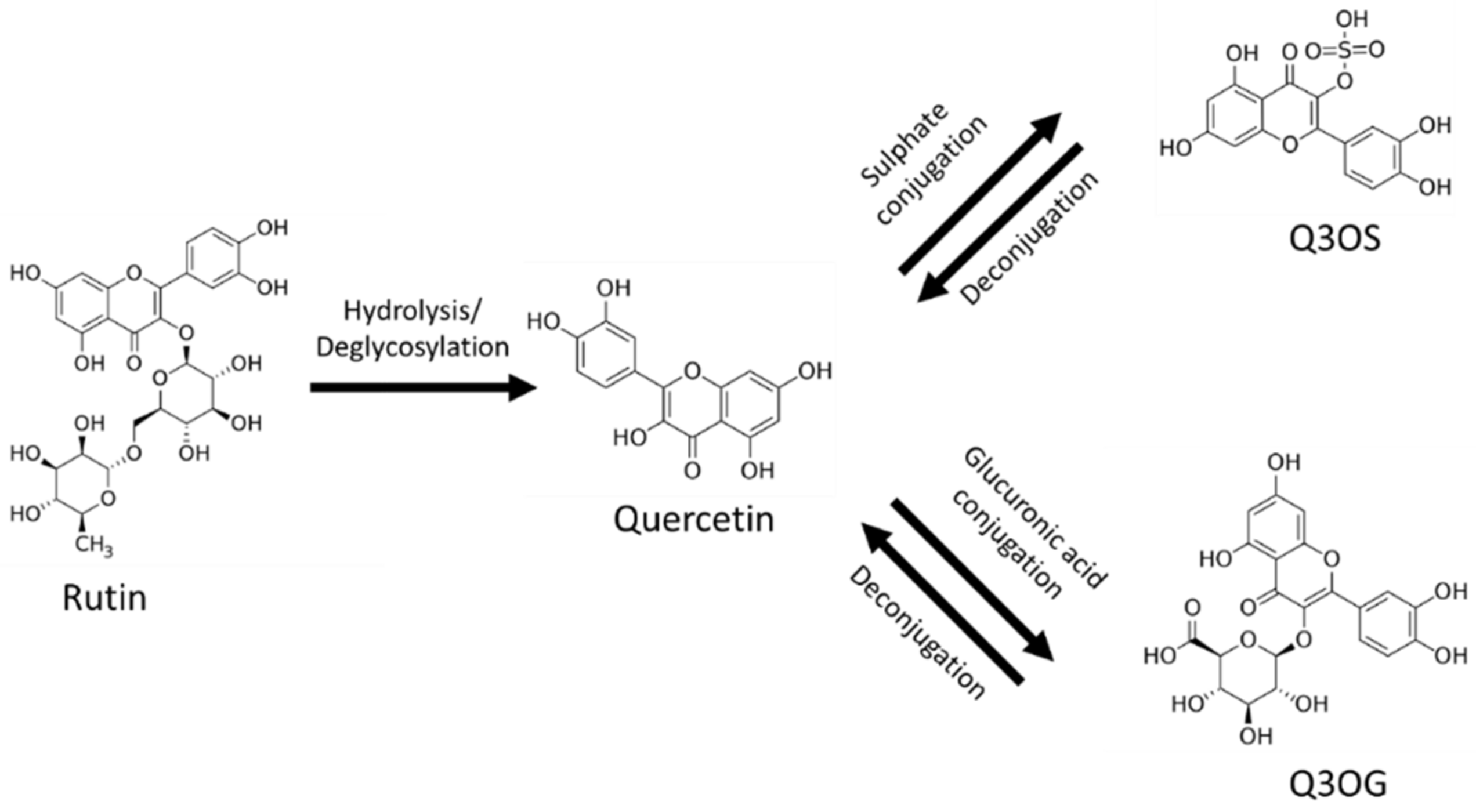 Pharmaceutics 13 00535 g001