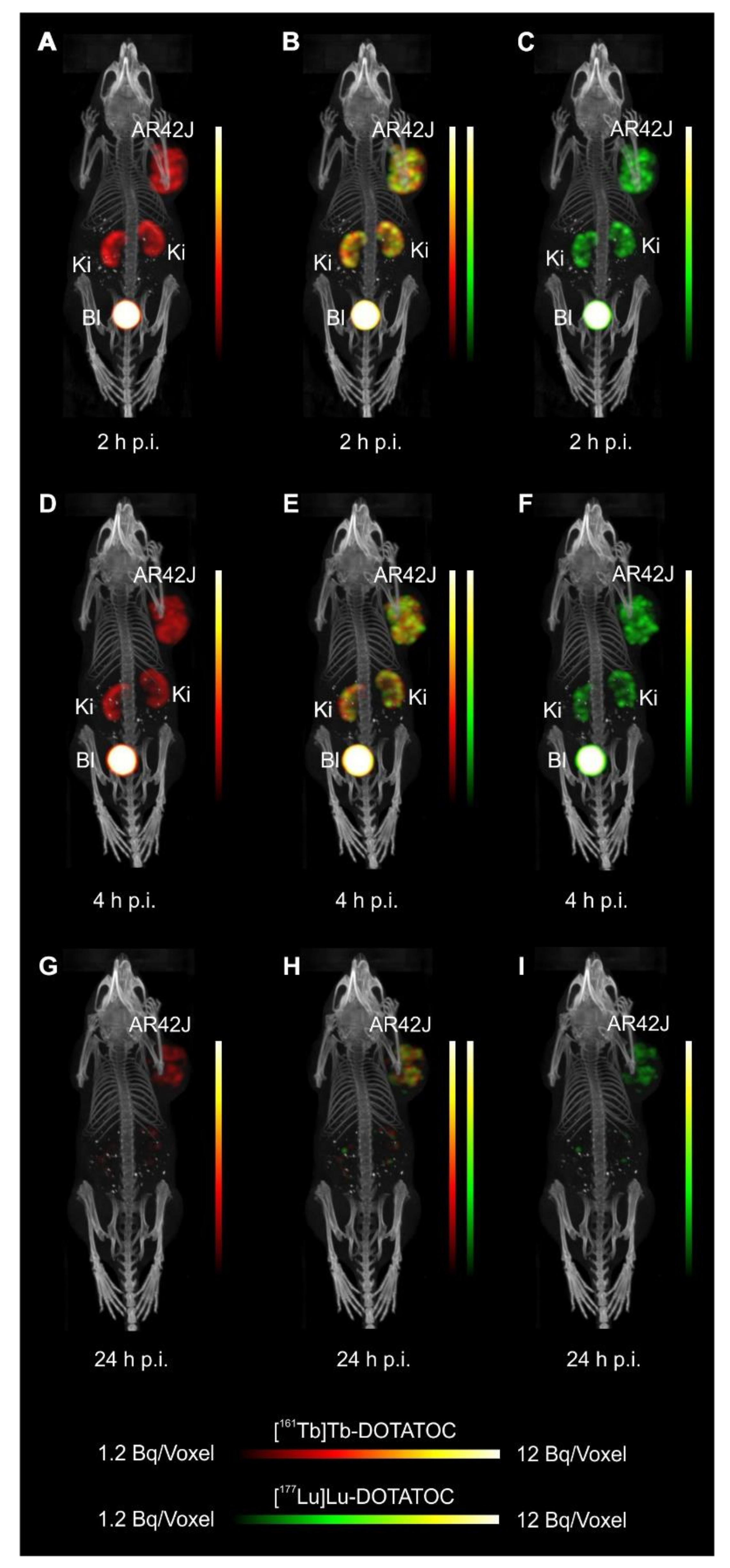Pharmaceutics 13 00536 g003