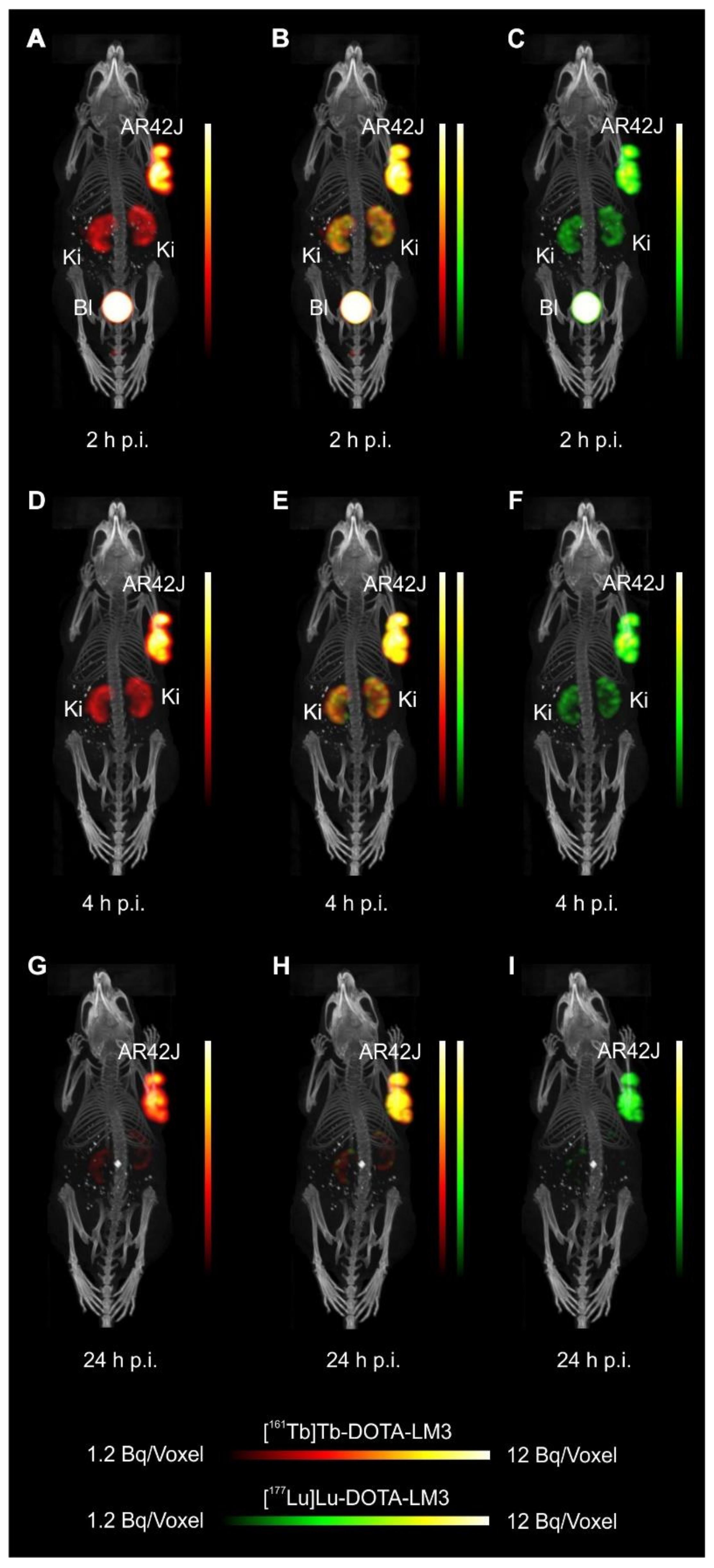 Pharmaceutics 13 00536 g004