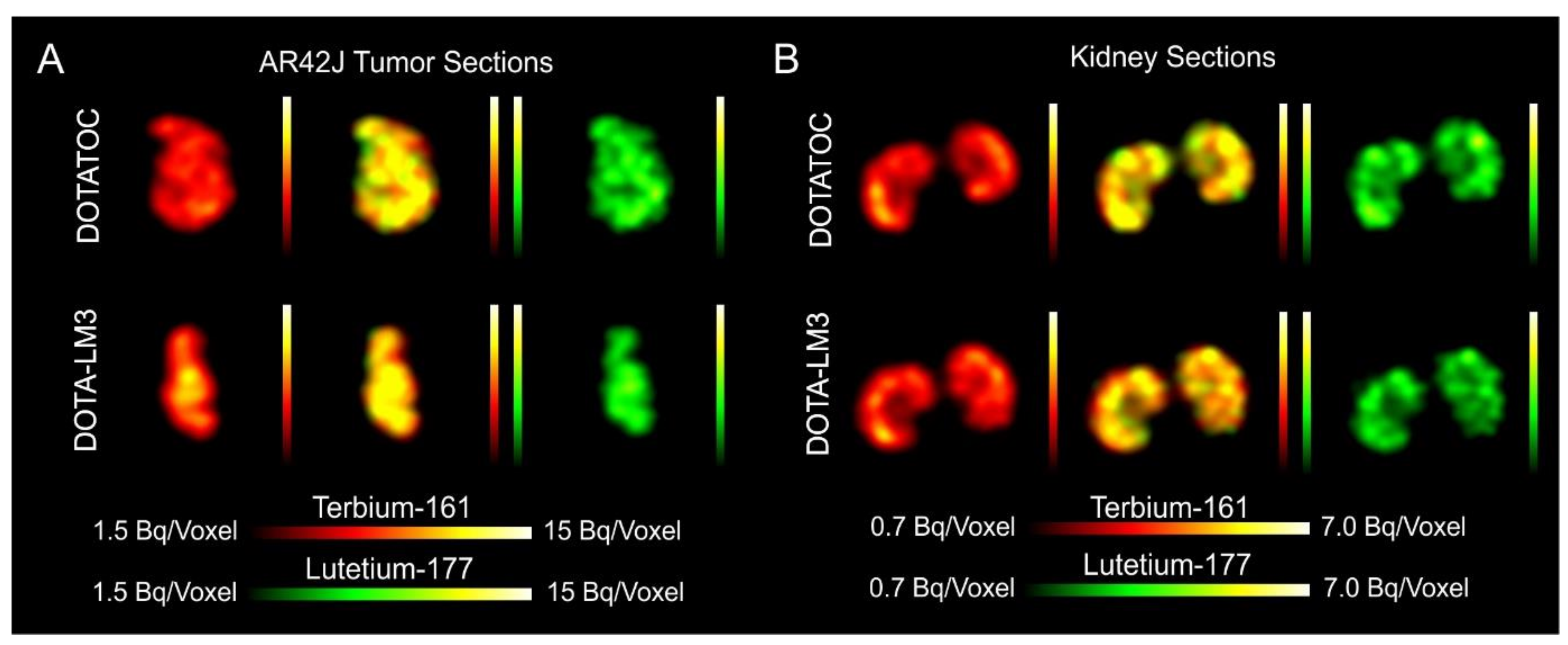 Pharmaceutics 13 00536 g005
