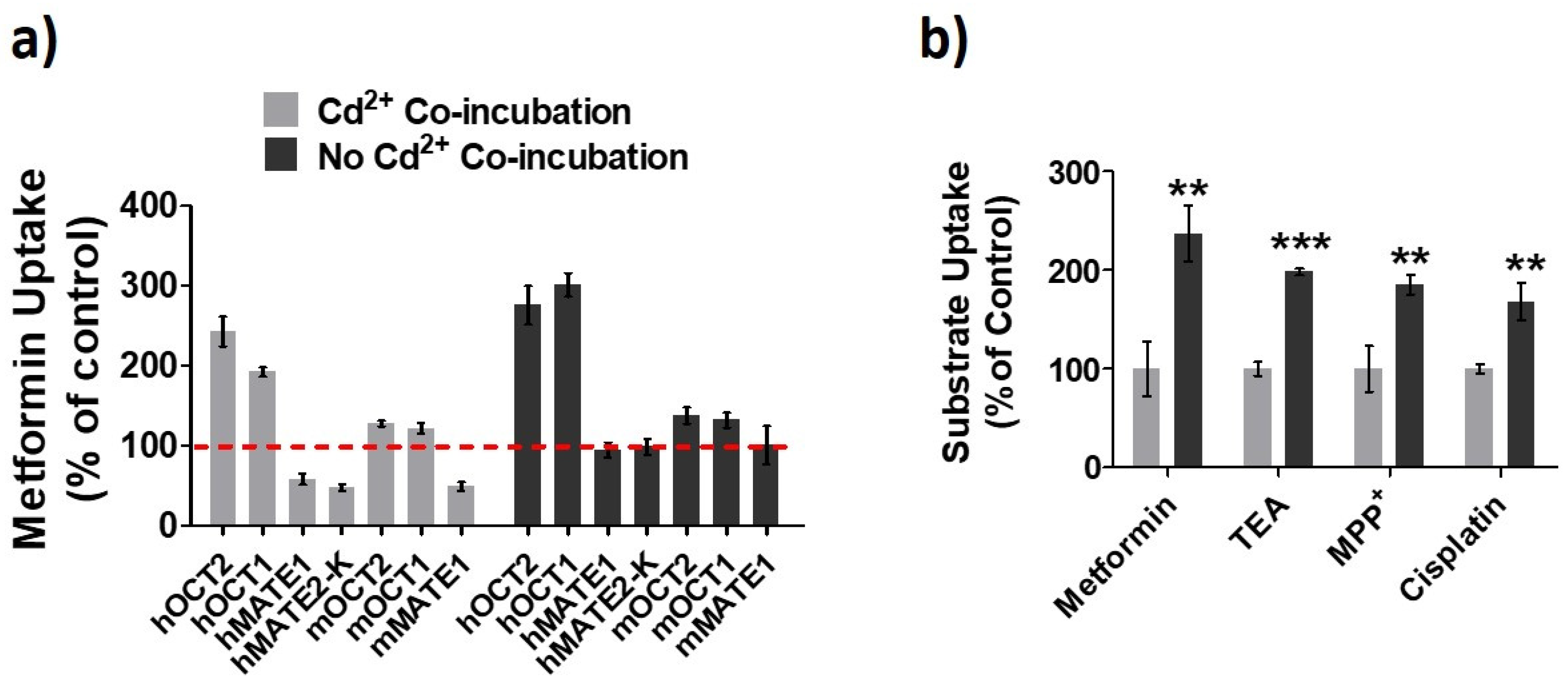 Pharmaceutics 13 00537 g001