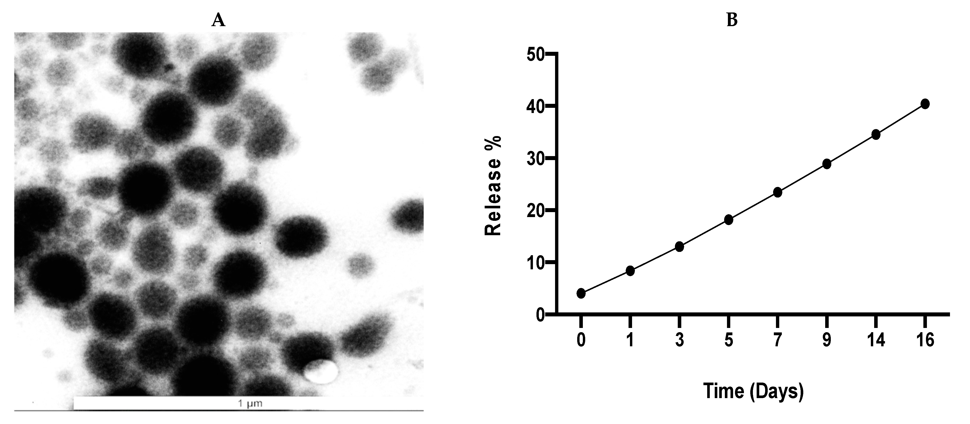 Pharmaceutics 13 00541 g006