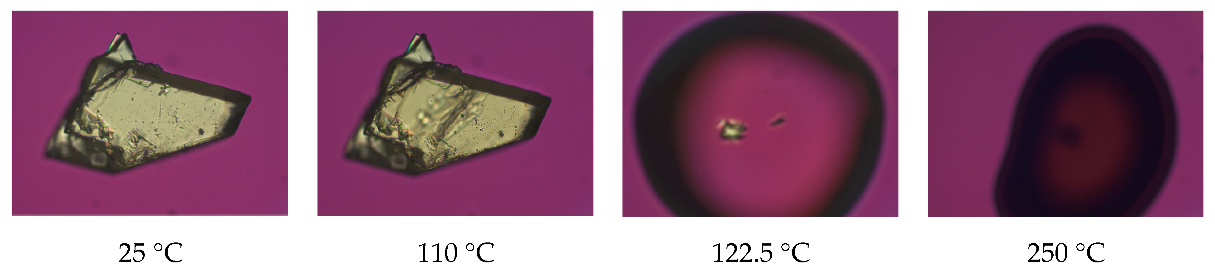 Pharmaceutics 13 00546 g005