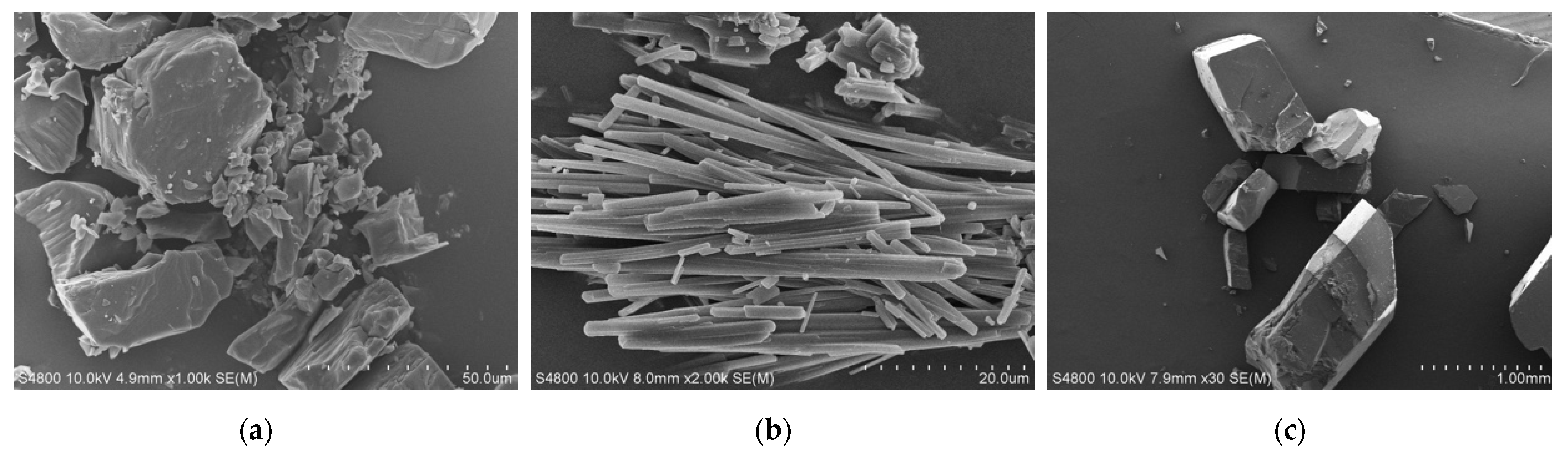 Pharmaceutics 13 00546 g006