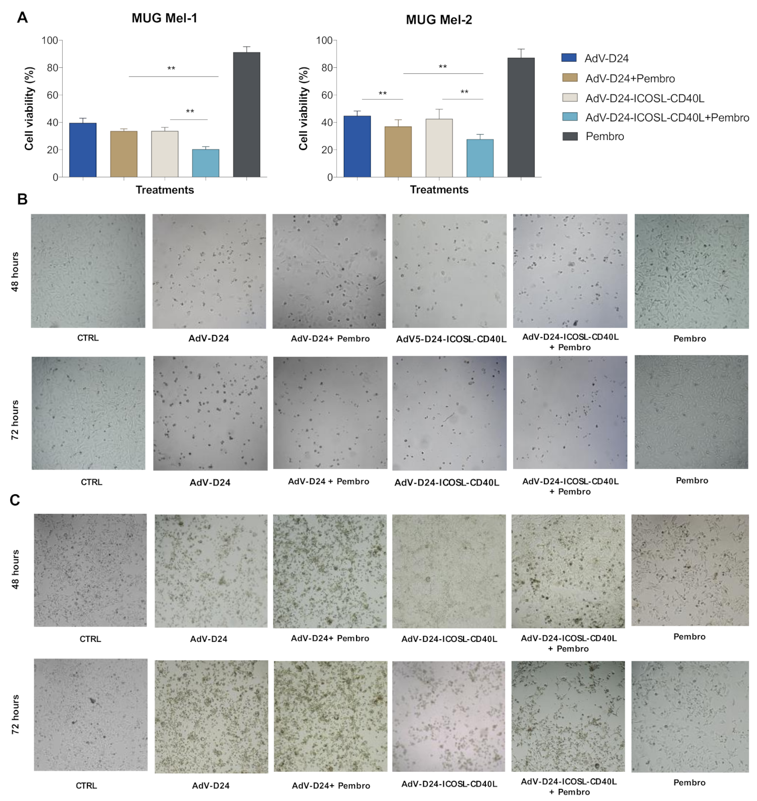 Pharmaceutics 13 00547 g003