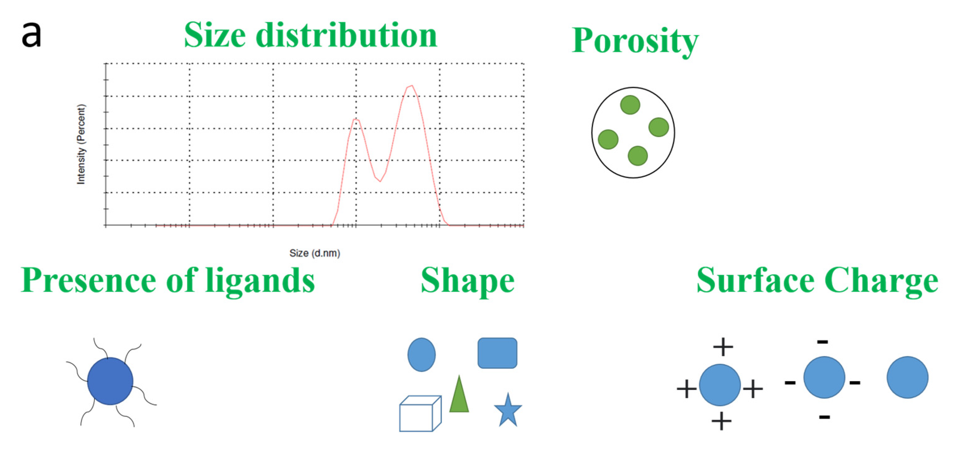 Pharmaceutics 13 00549 g002a Pharmaceutics 13 00549 g002a