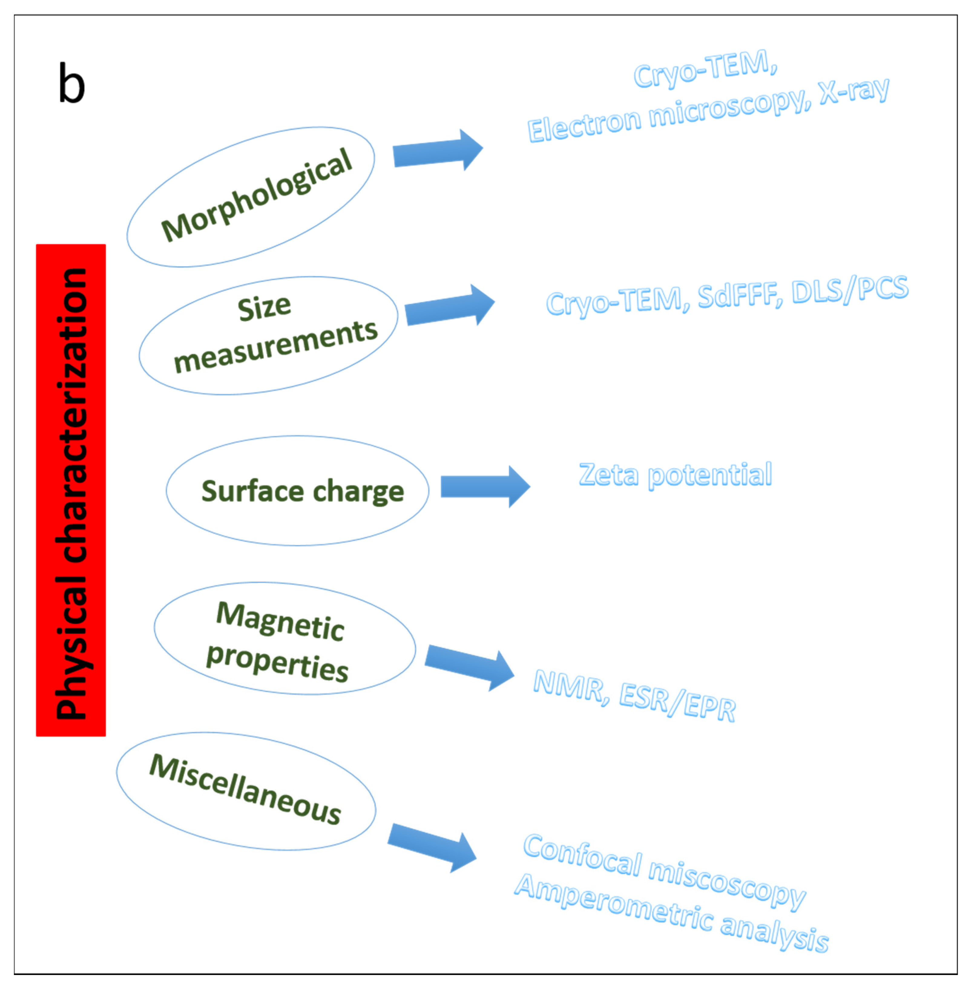 Pharmaceutics 13 00549 g002b Pharmaceutics 13 00549 g002b