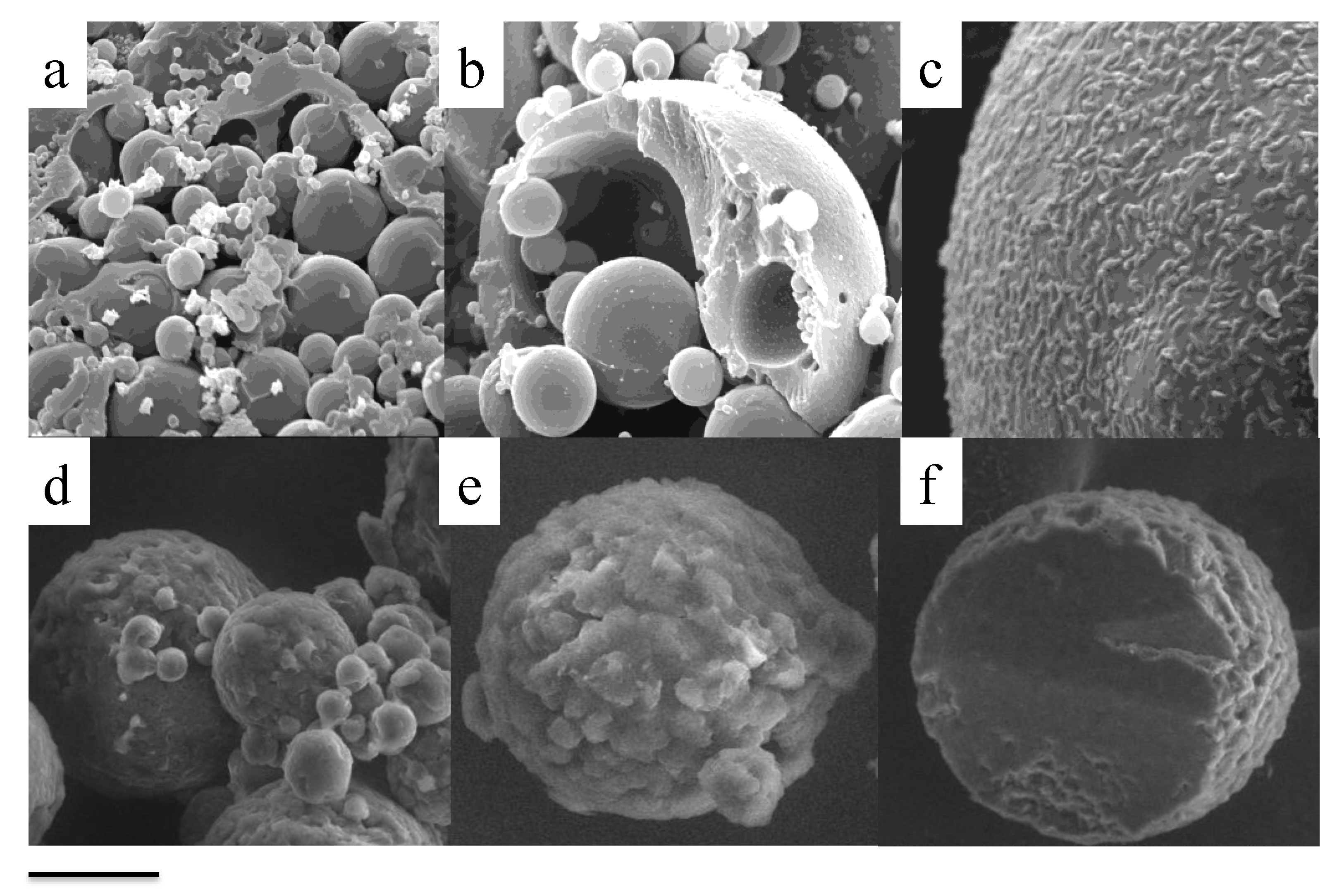 Pharmaceutics 13 00549 g003 Pharmaceutics 13 00549 g003