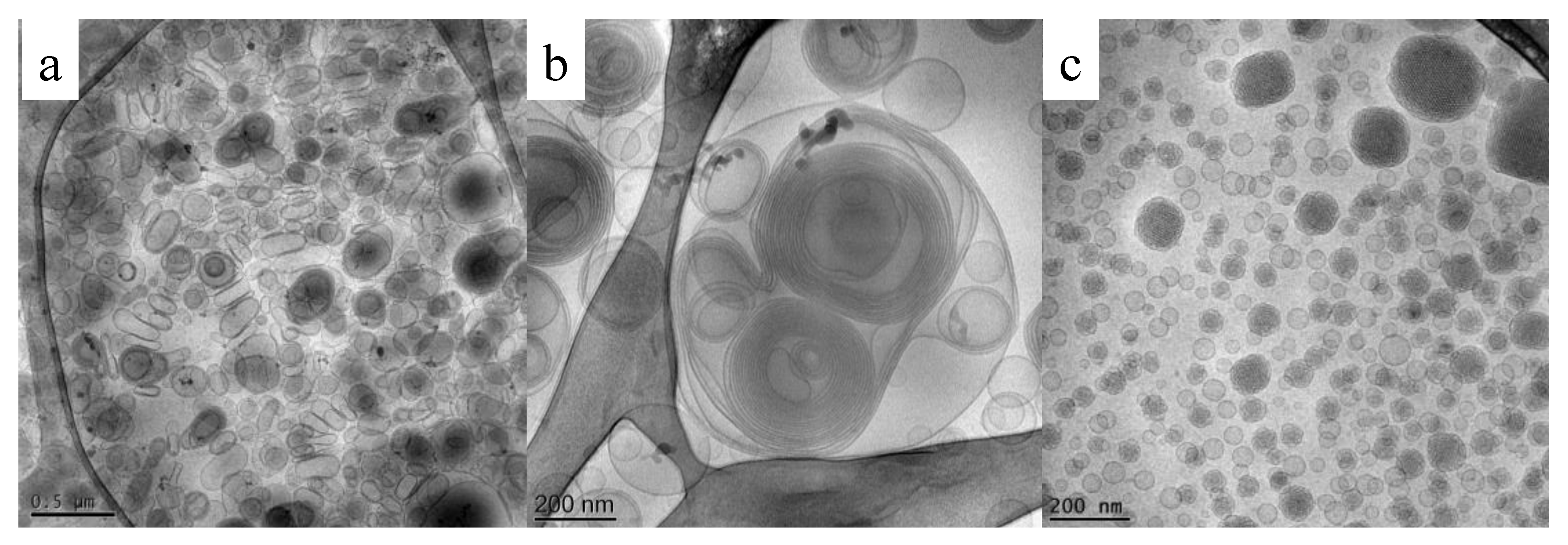 Pharmaceutics 13 00549 g004 Pharmaceutics 13 00549 g004