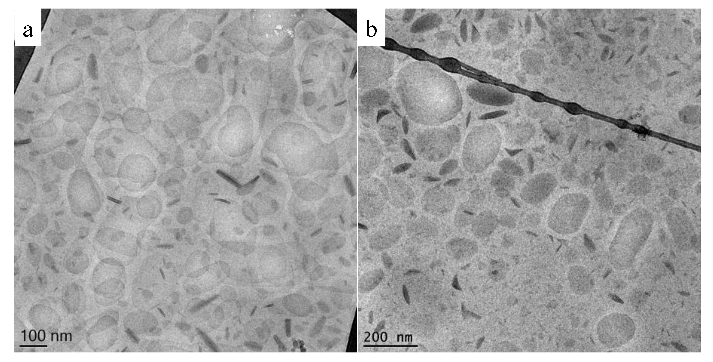 Pharmaceutics 13 00549 g005 Pharmaceutics 13 00549 g005