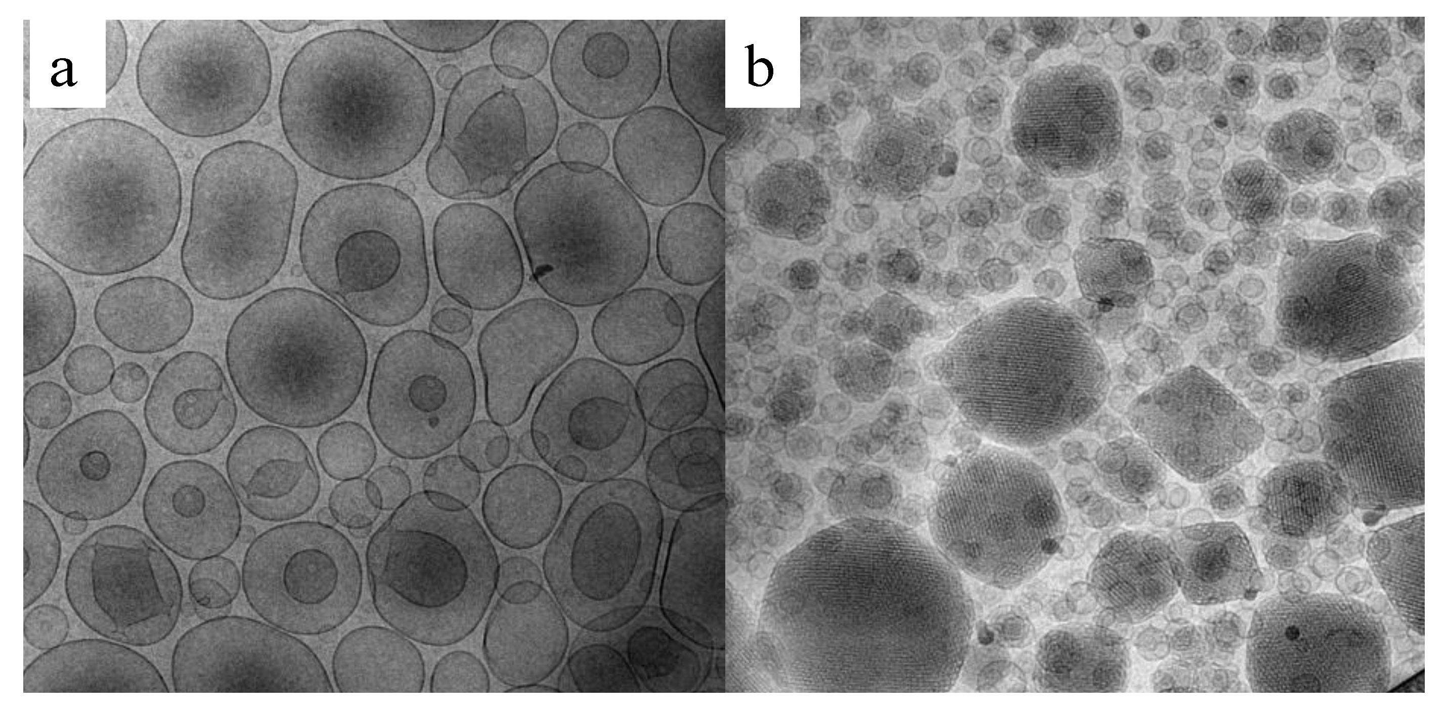Pharmaceutics 13 00549 g006 Pharmaceutics 13 00549 g006