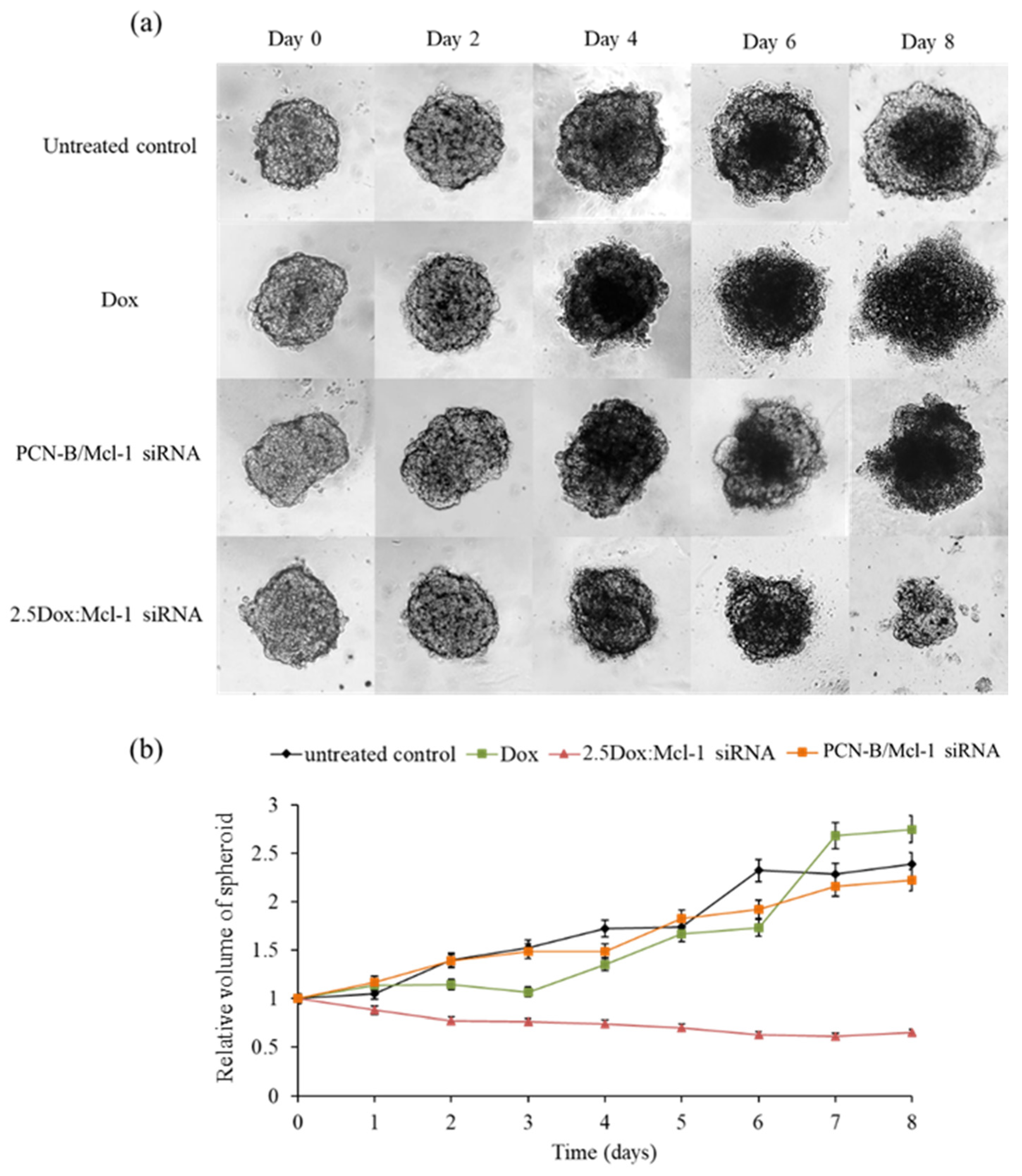 Pharmaceutics 13 00550 g009