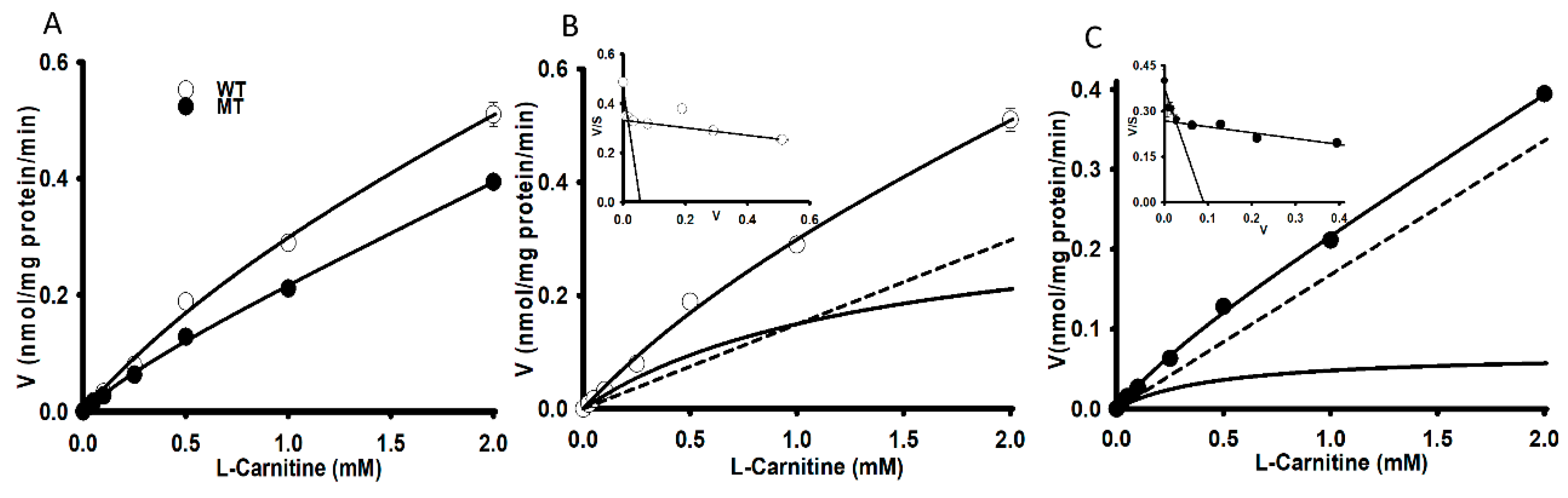 Pharmaceutics 13 00551 g002