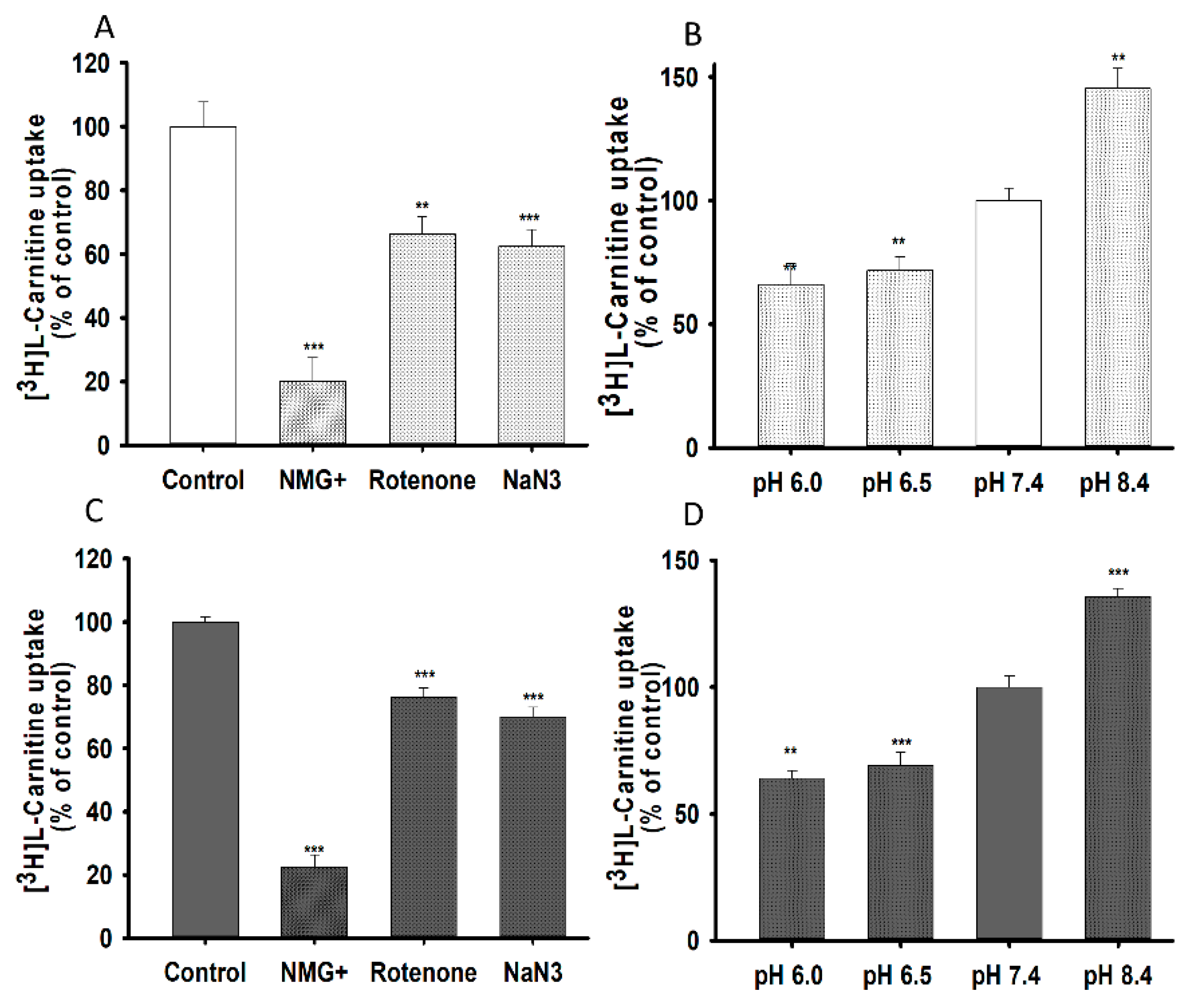 Pharmaceutics 13 00551 g003