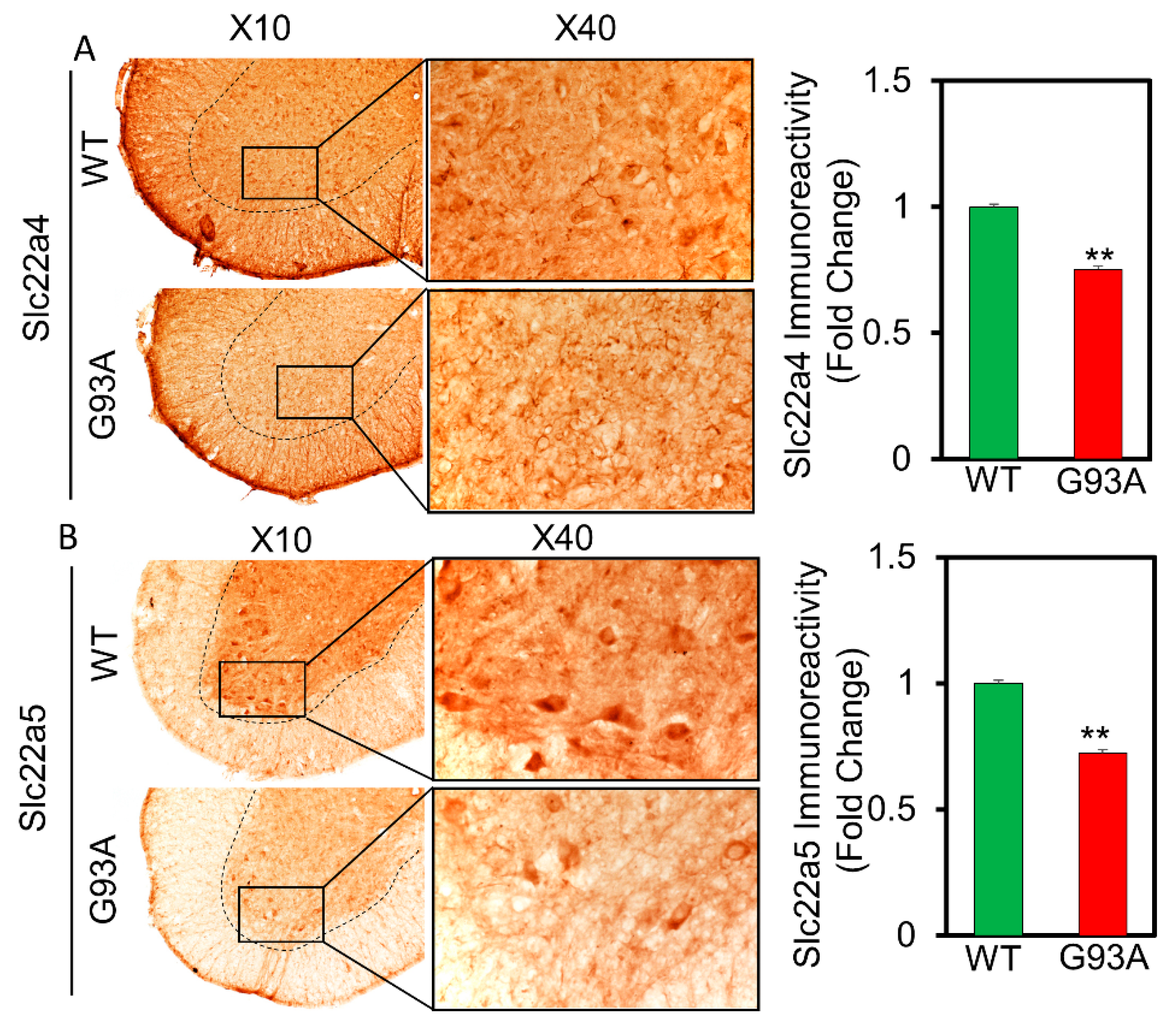 Pharmaceutics 13 00551 g006