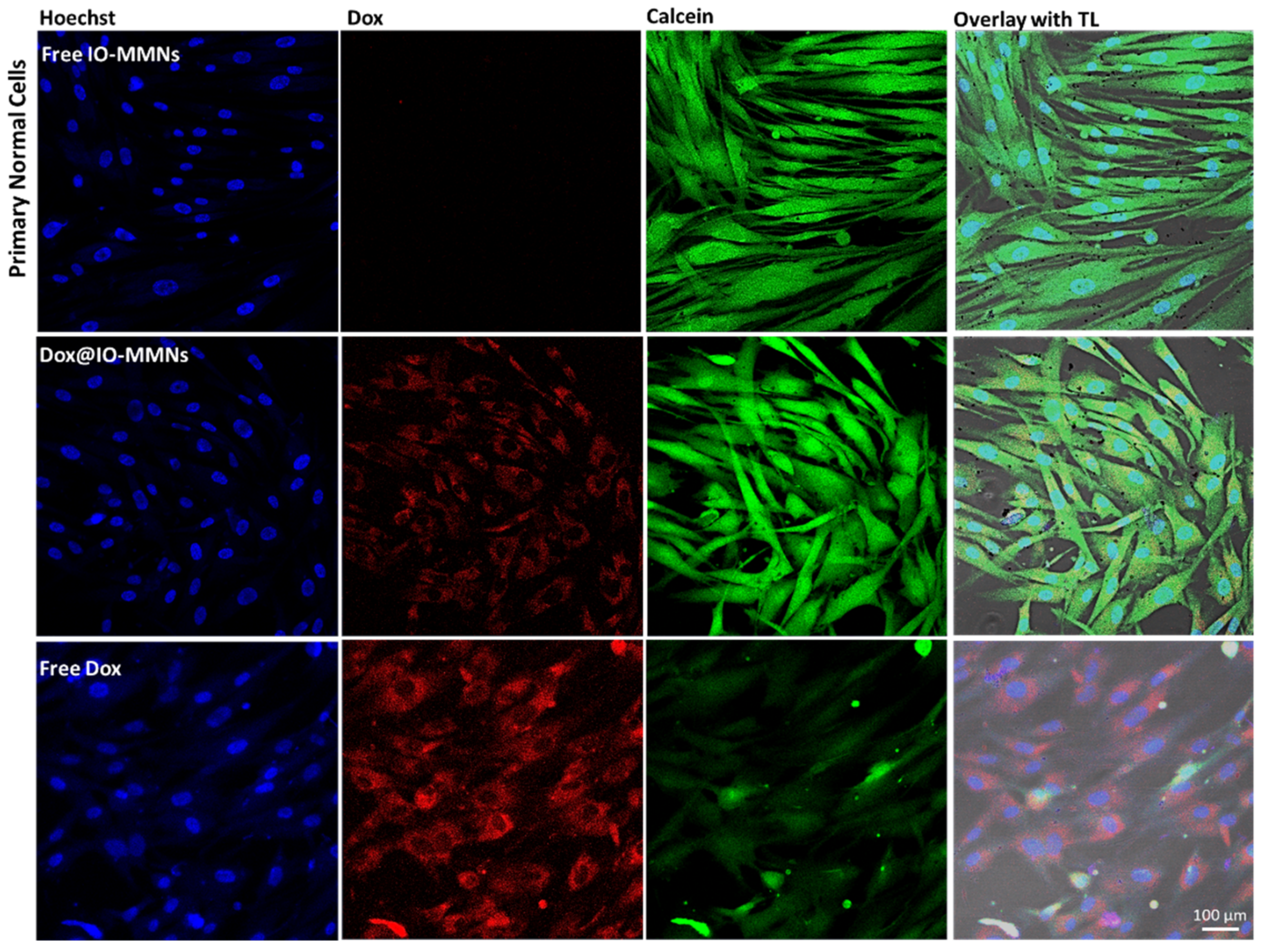 Pharmaceutics 13 00553 g009