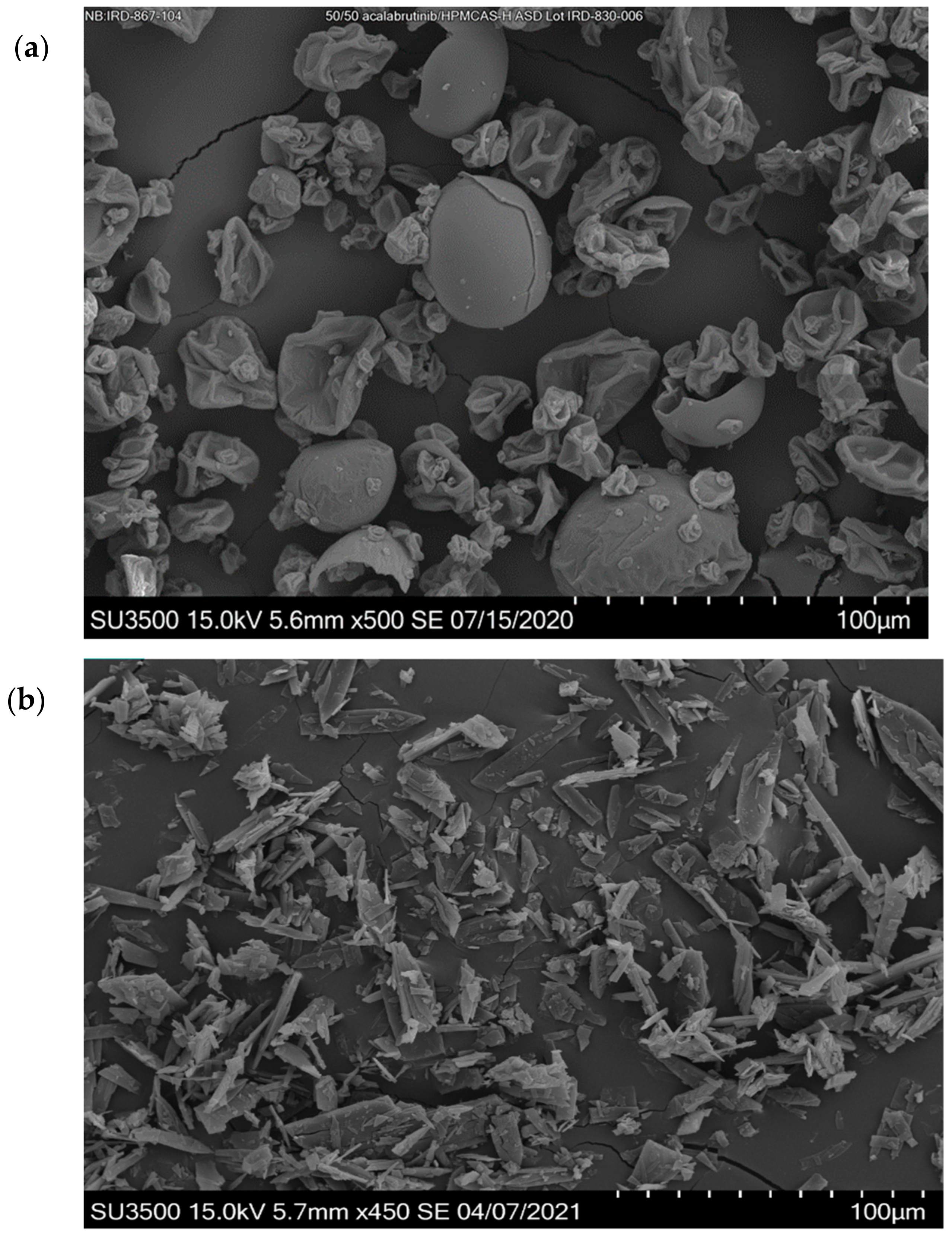 Pharmaceutics 13 00557 g0a2