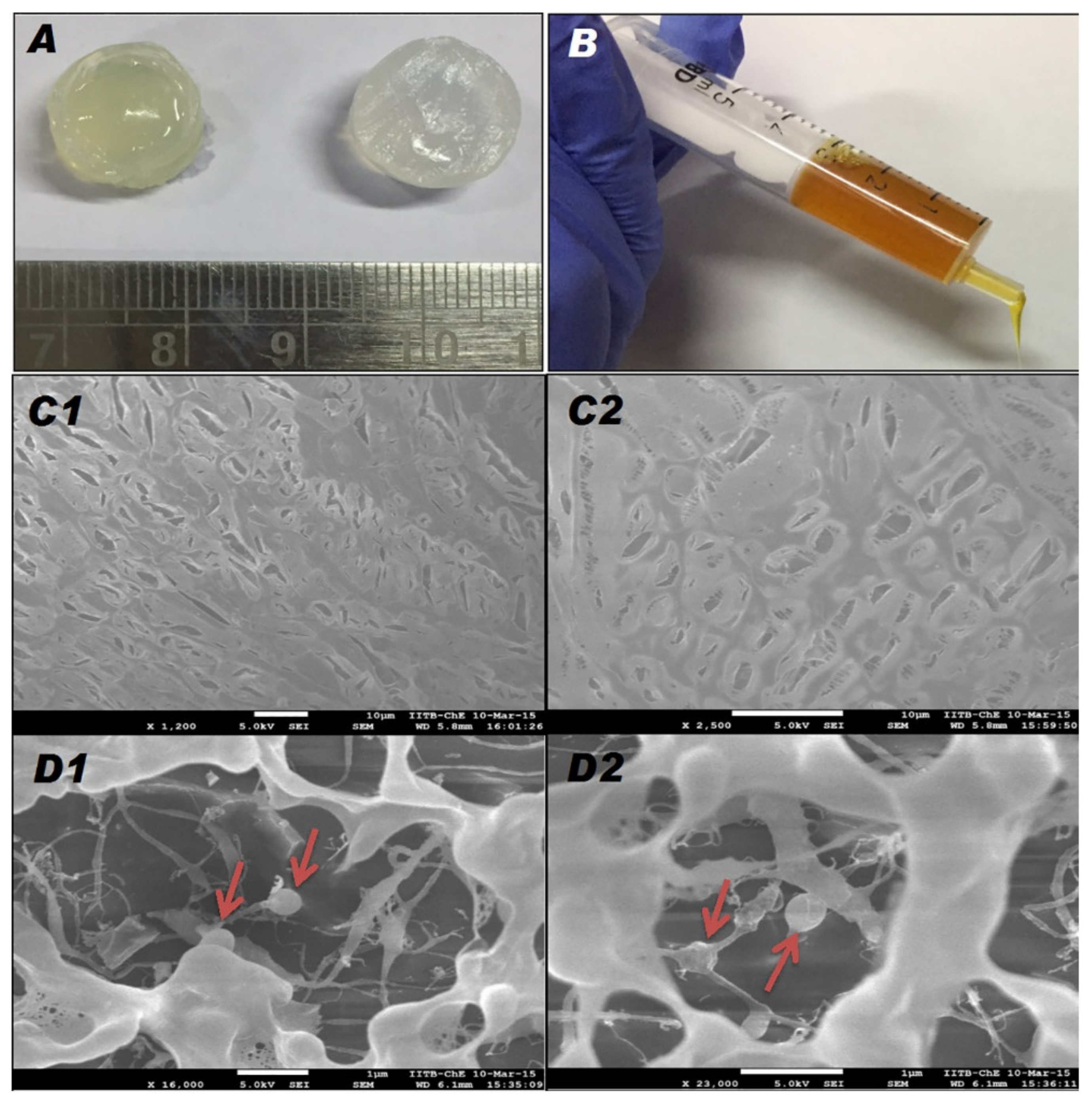 Pharmaceutics 13 00558 g006 Pharmaceutics 13 00558 g006