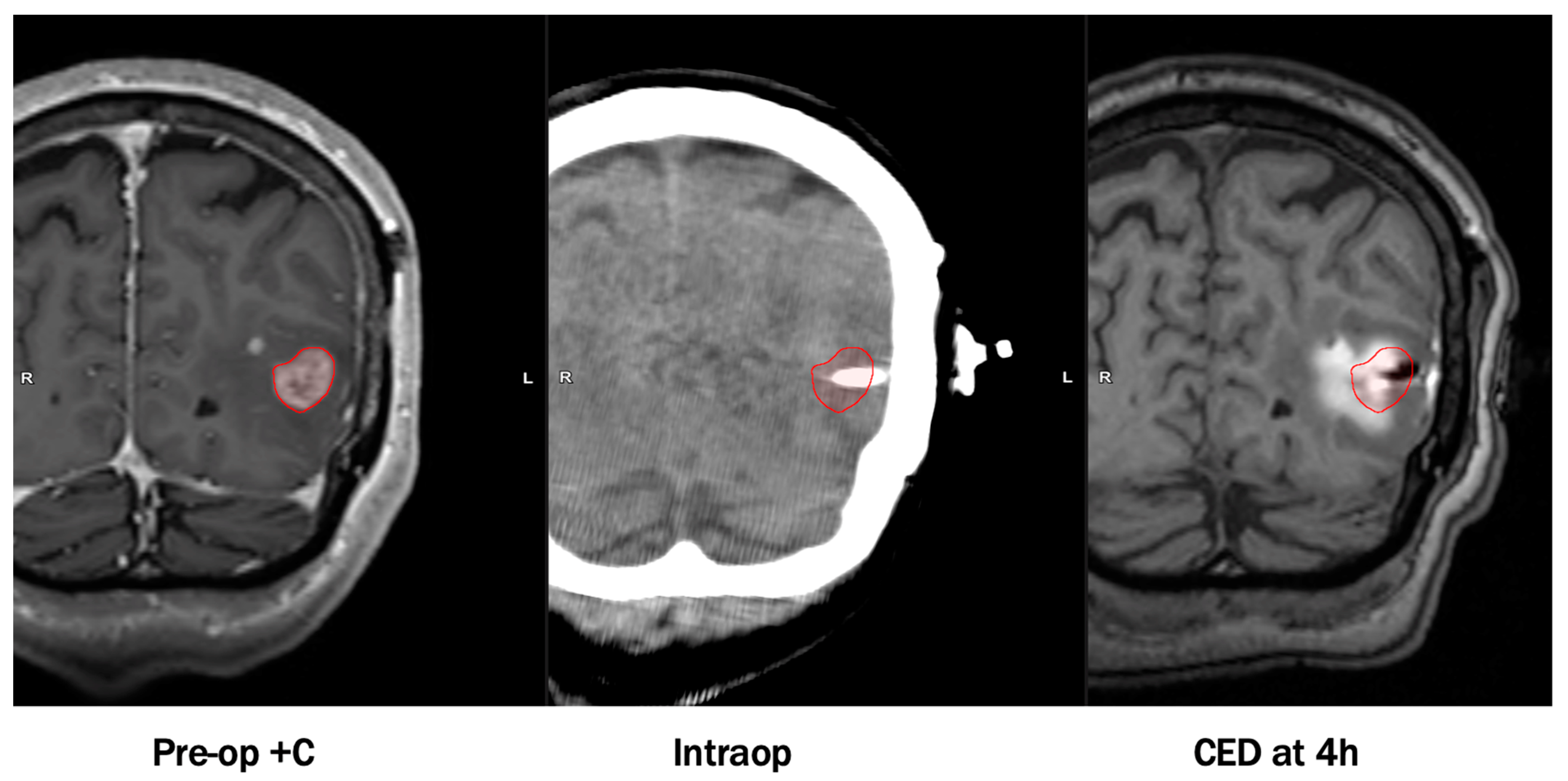 Pharmaceutics 13 00561 g001