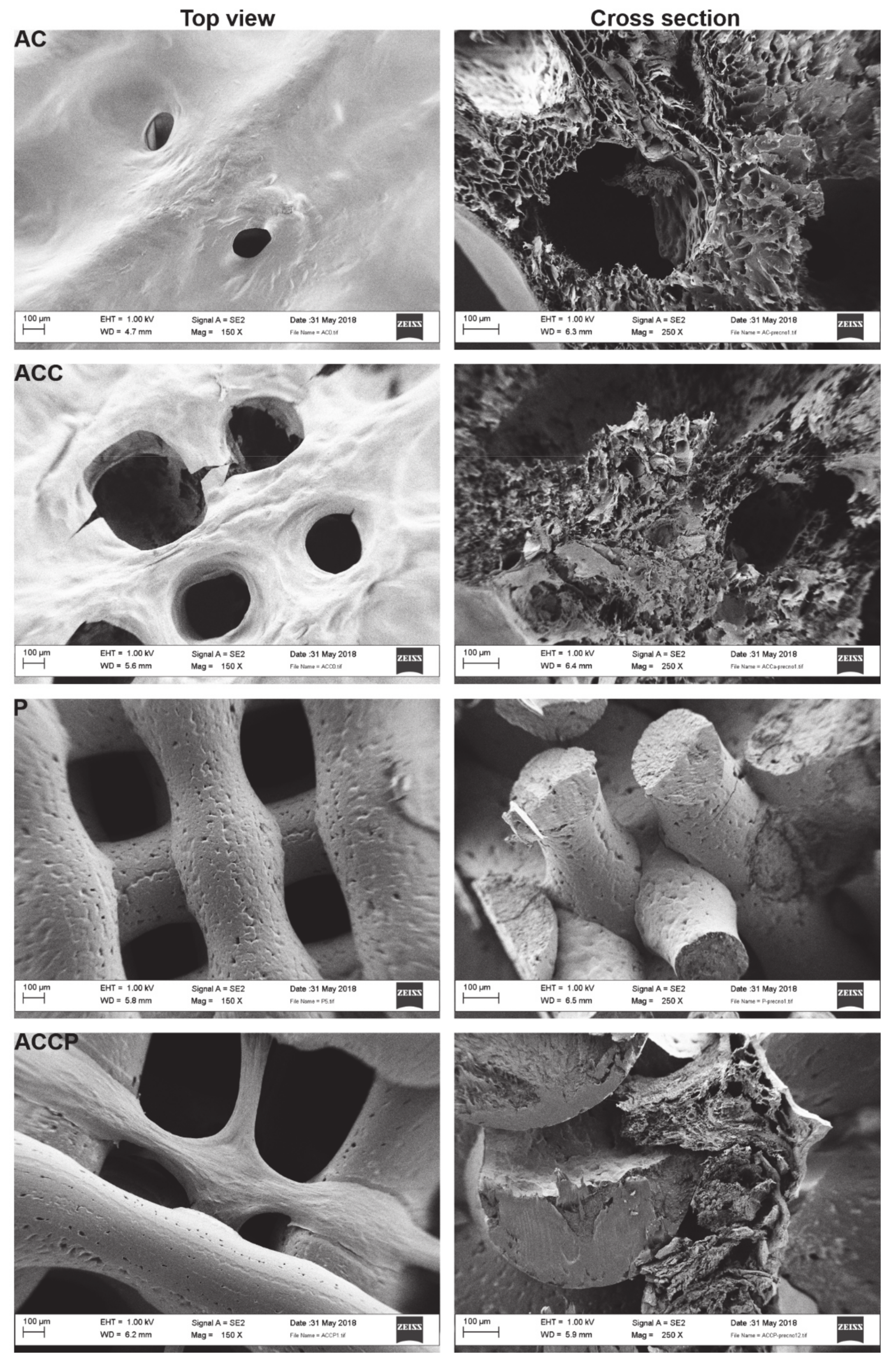 Pharmaceutics 13 00564 g003