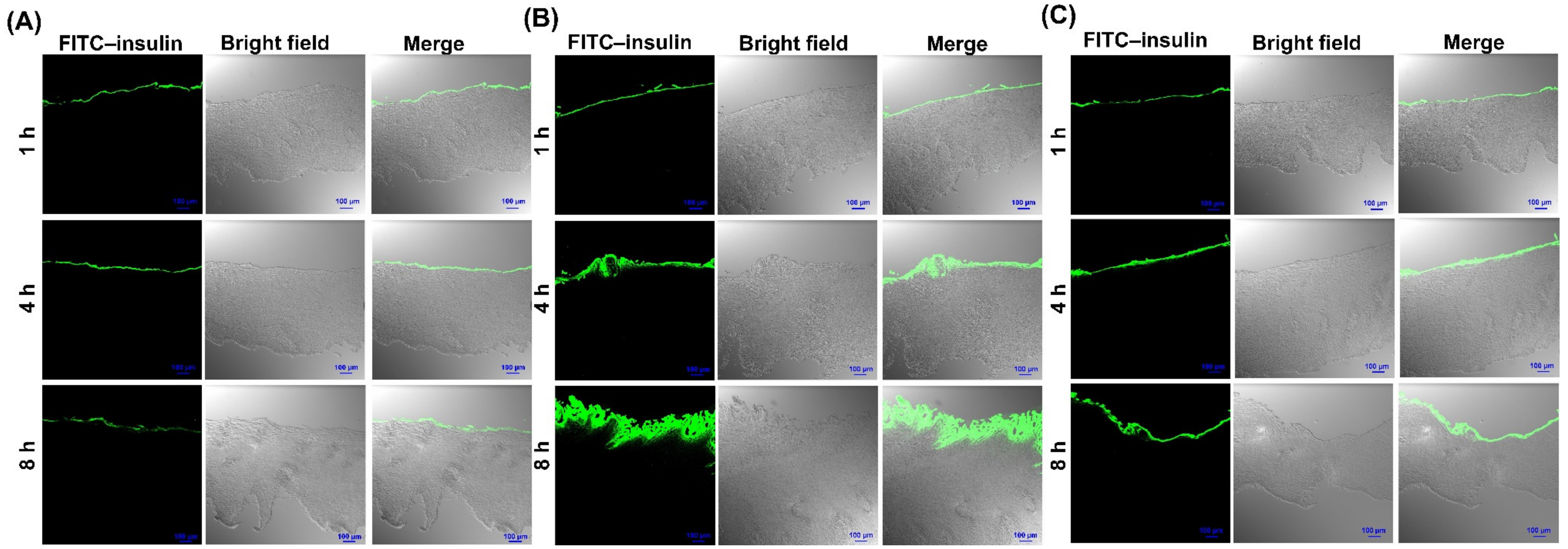 Pharmaceutics 13 00565 g006 Pharmaceutics 13 00565 g006