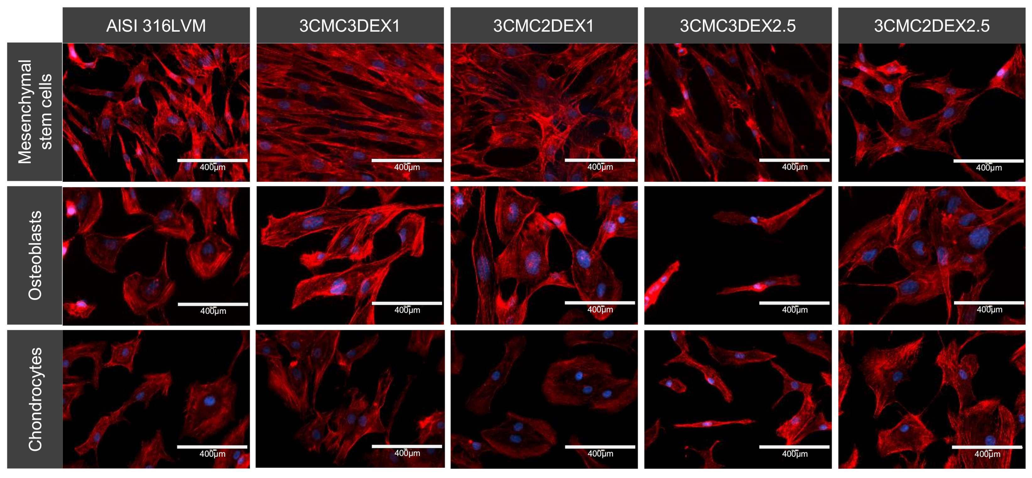 Pharmaceutics 13 00568 g009