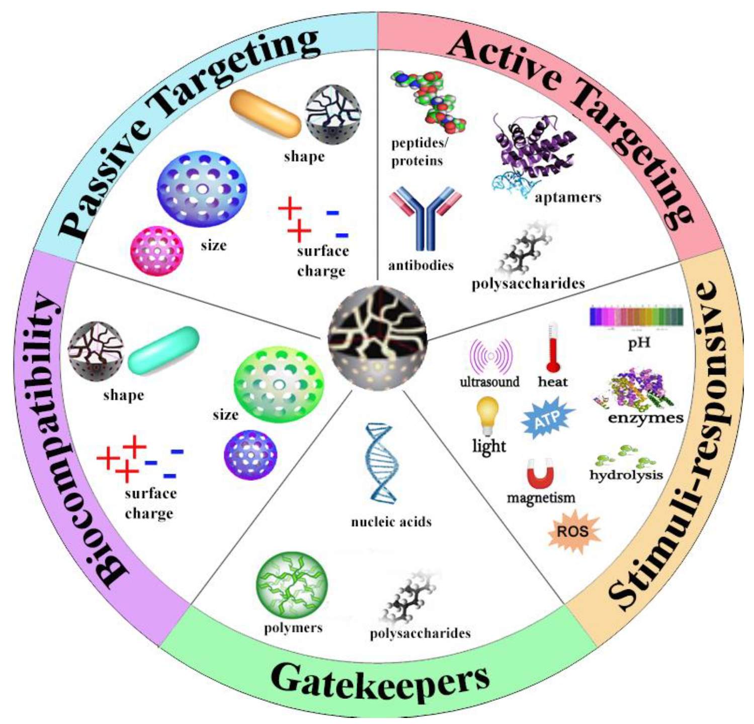 Pharmaceutics 13 00570 g001