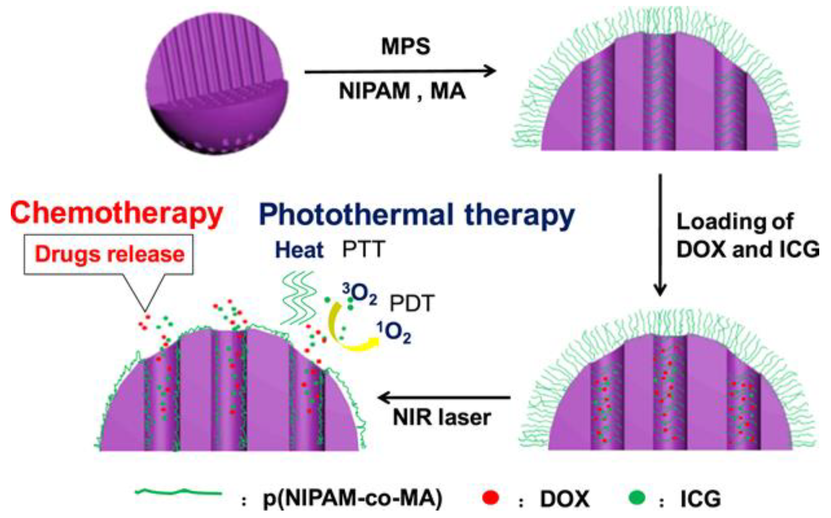 Pharmaceutics 13 00570 g004