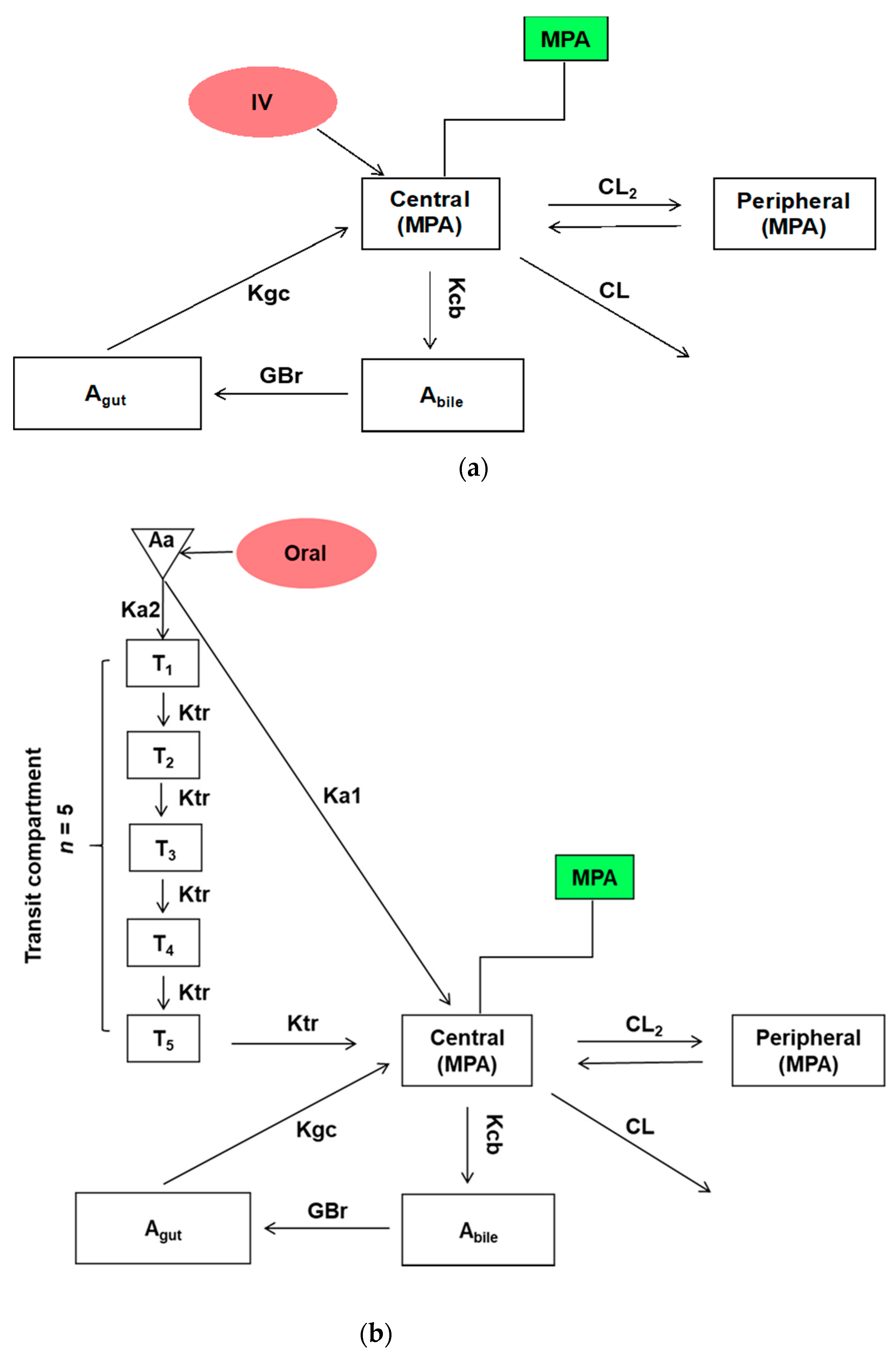 Pharmaceutics 13 00574 g001a