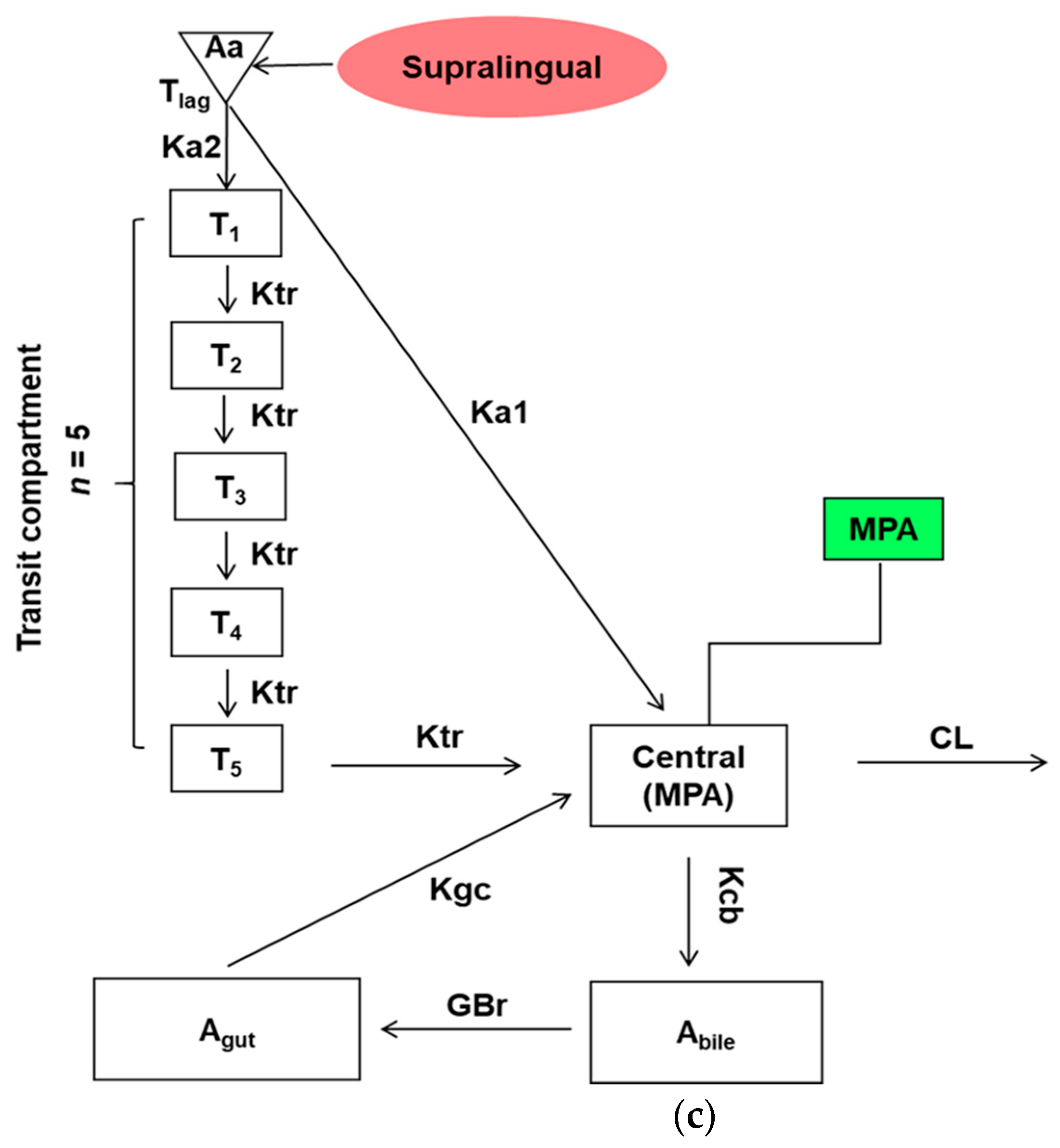 Pharmaceutics 13 00574 g001b