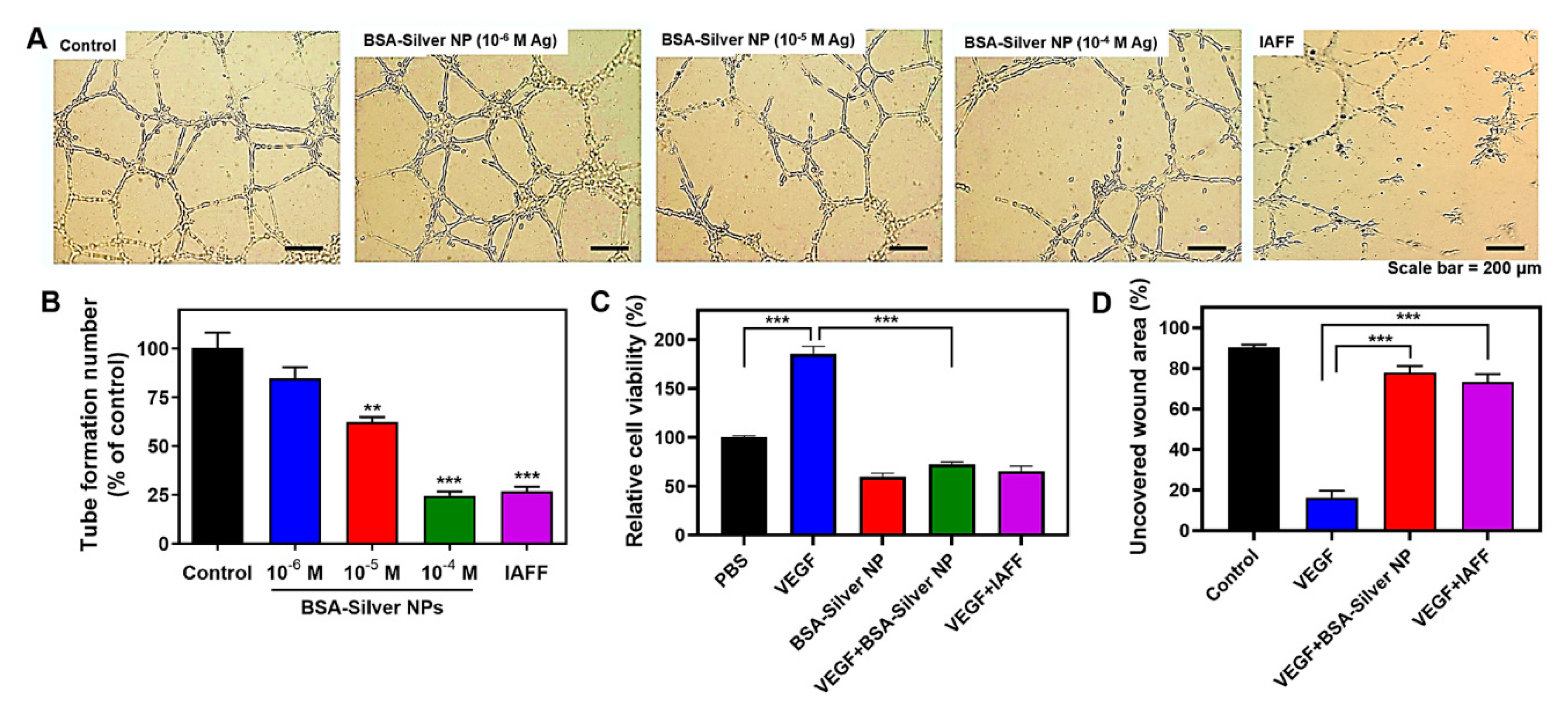 Pharmaceutics 13 00575 g005