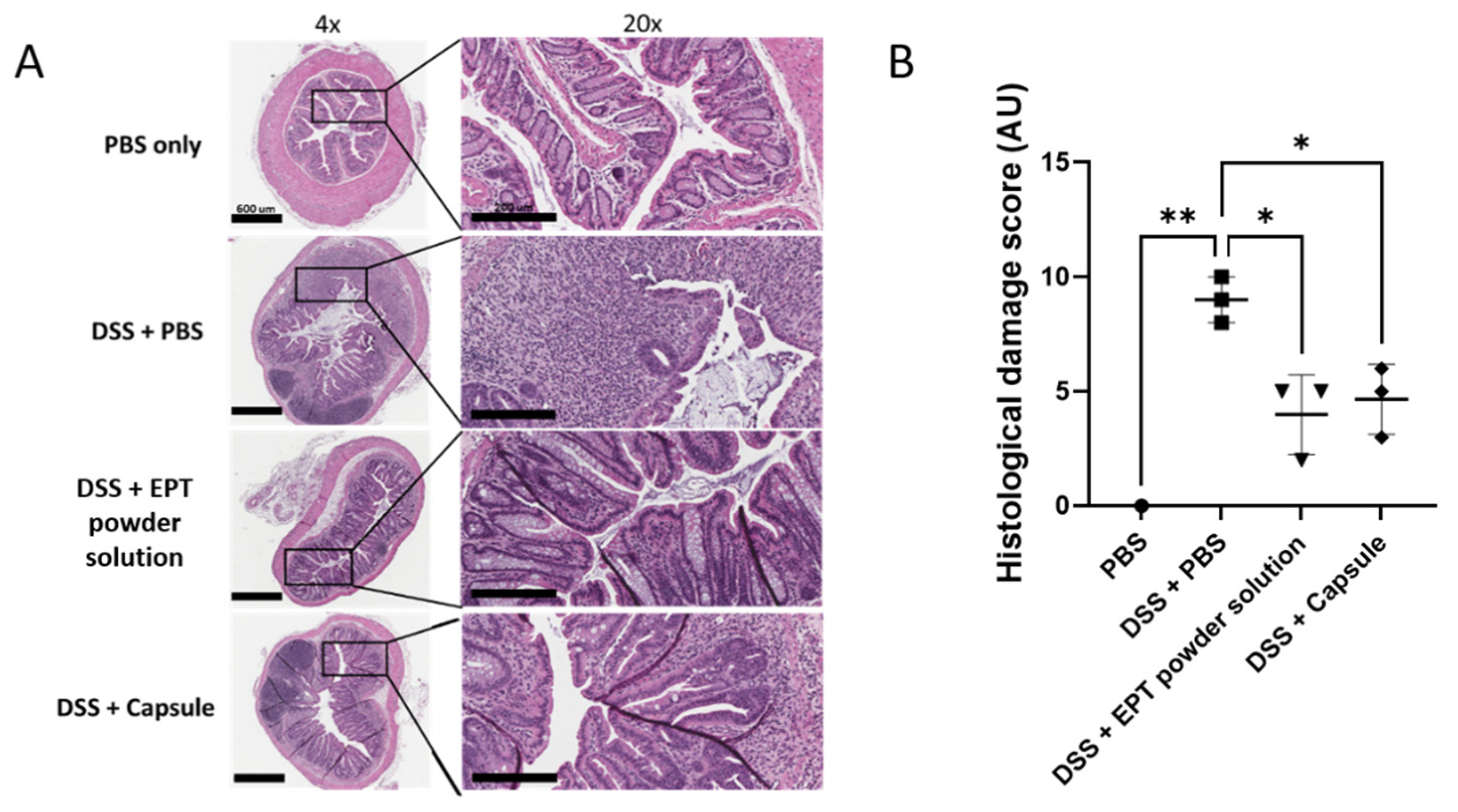 Pharmaceutics 13 00576 g004 Pharmaceutics 13 00576 g004
