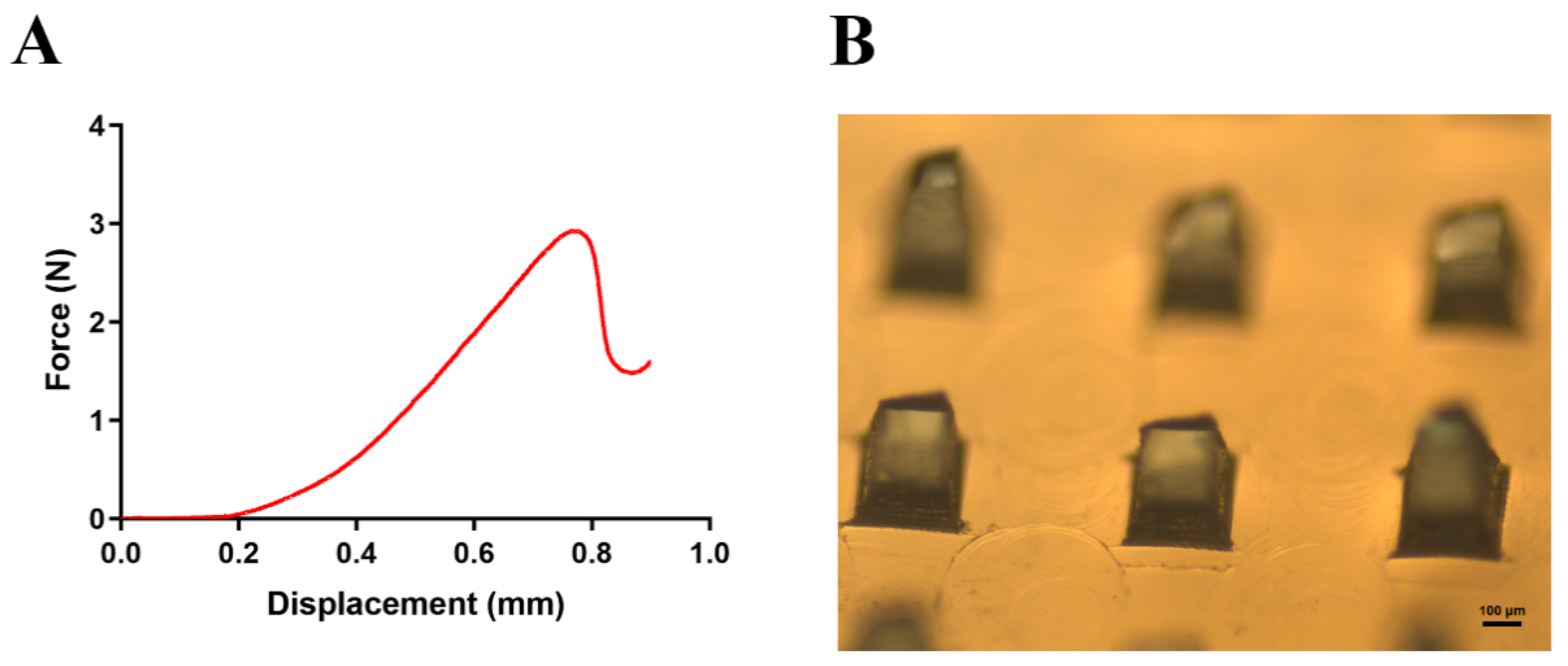 Pharmaceutics 13 00579 g003