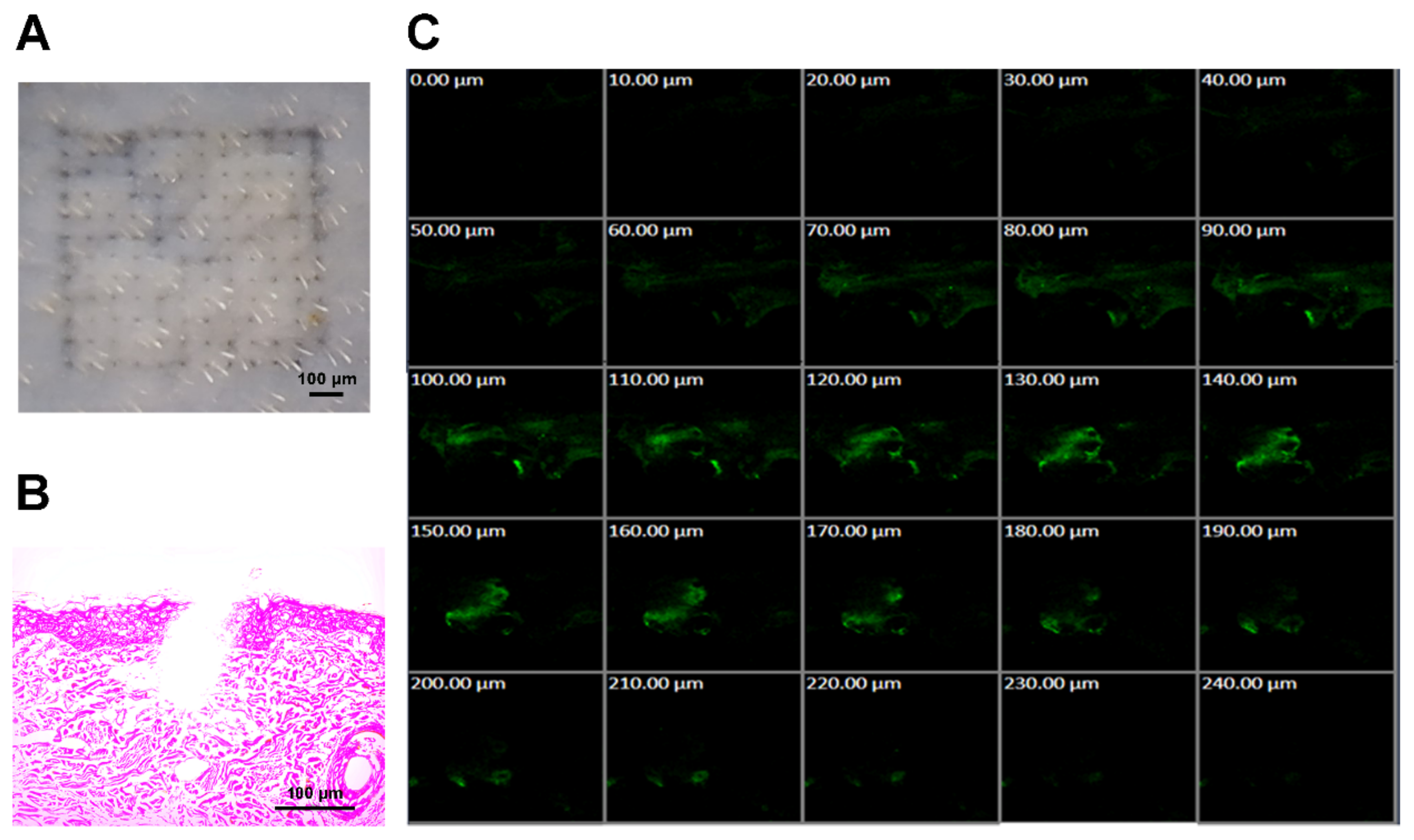 Pharmaceutics 13 00579 g004