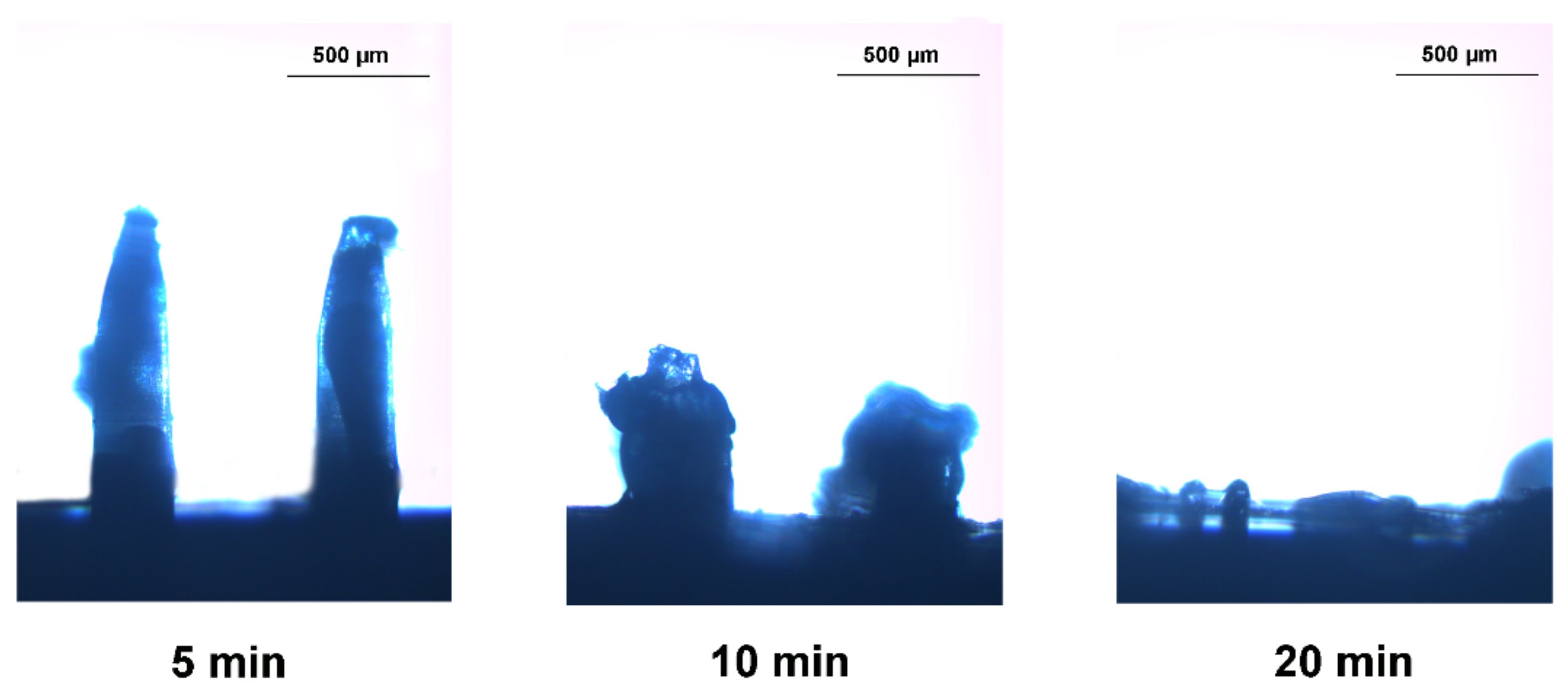 Pharmaceutics 13 00579 g005