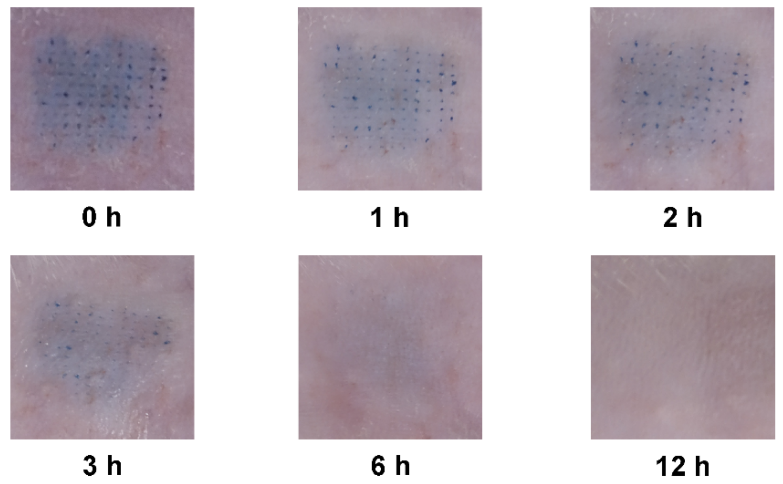 Pharmaceutics 13 00579 g006