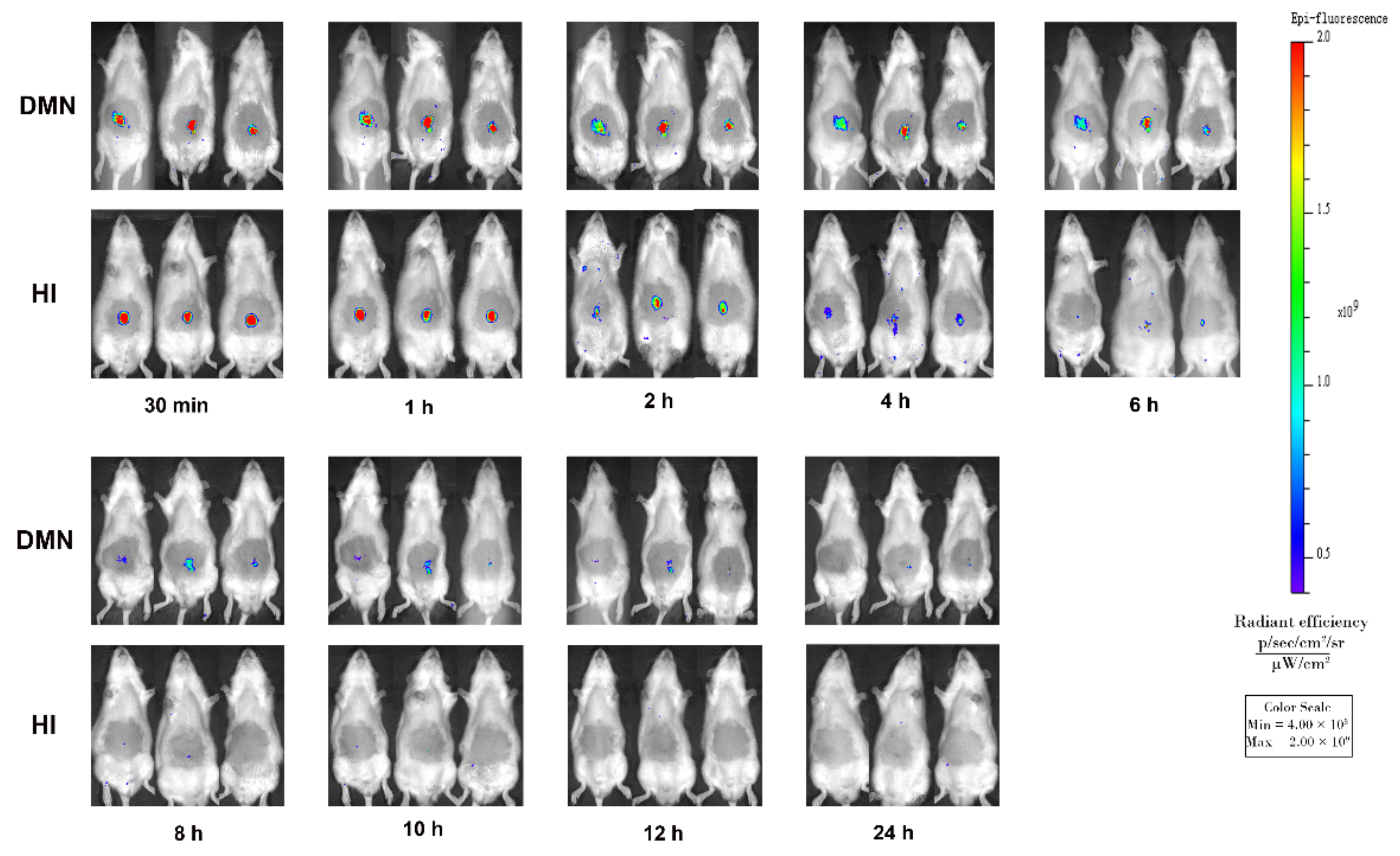 Pharmaceutics 13 00579 g009