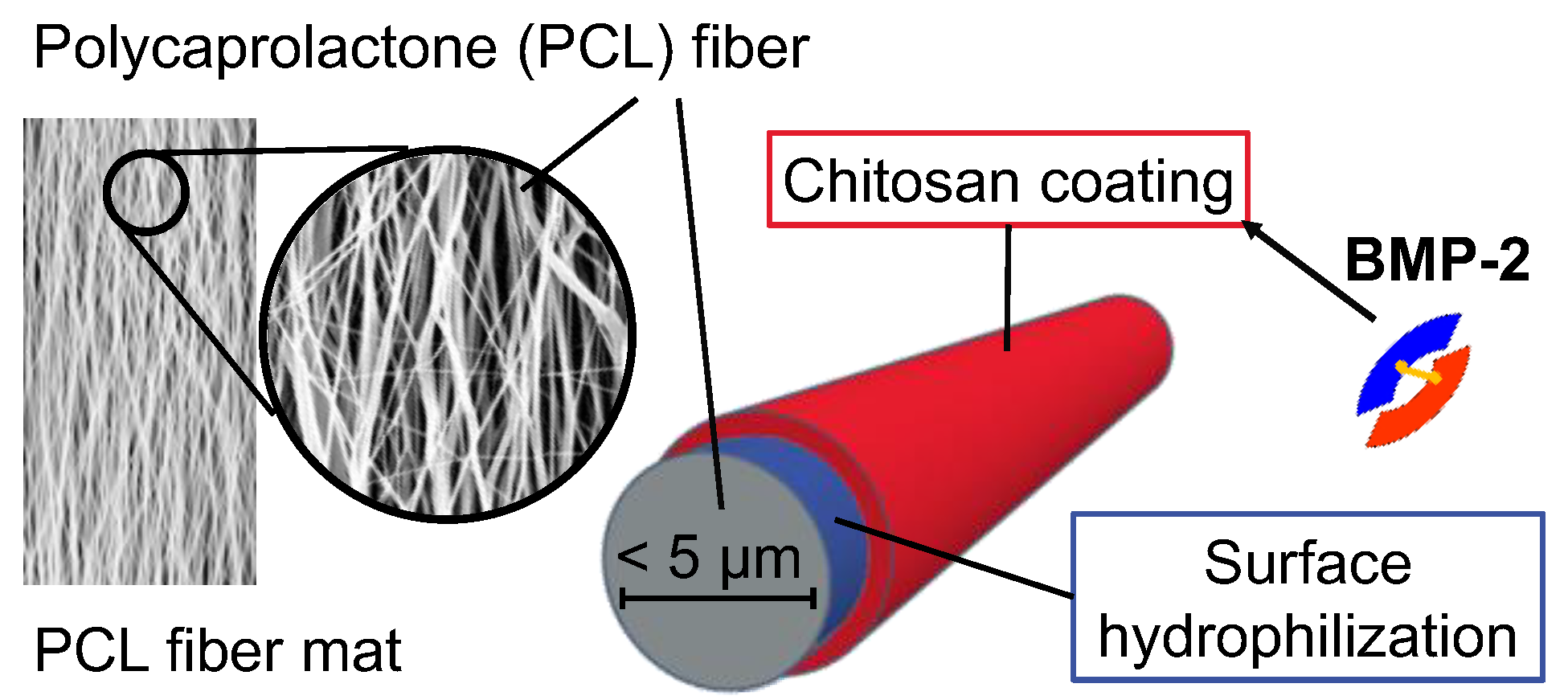 Pharmaceutics 13 00582 g001