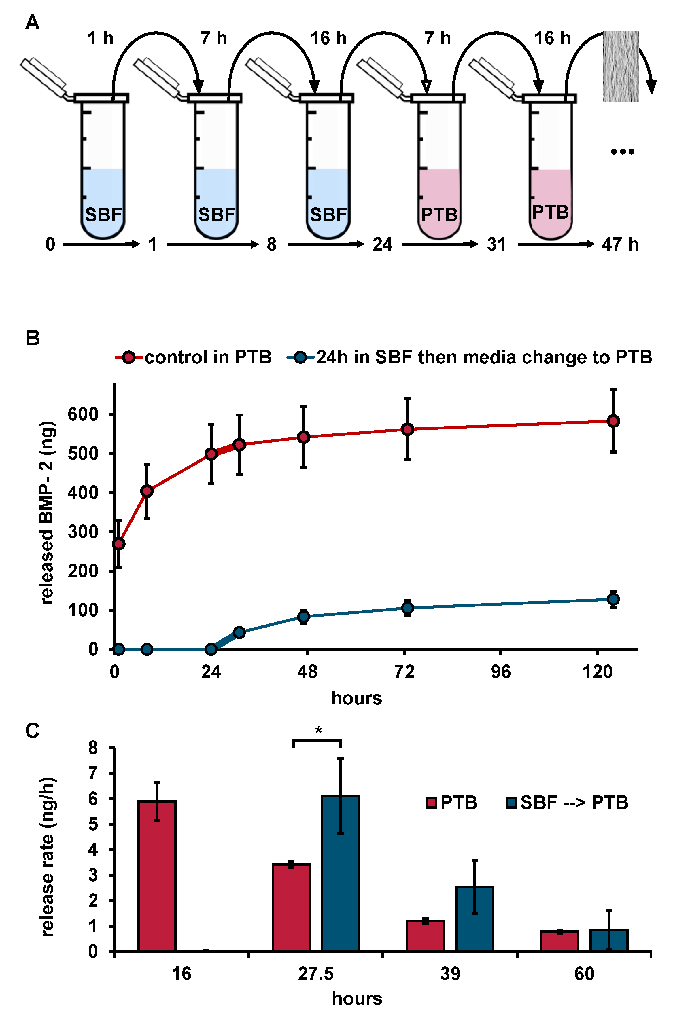 Pharmaceutics 13 00582 g004