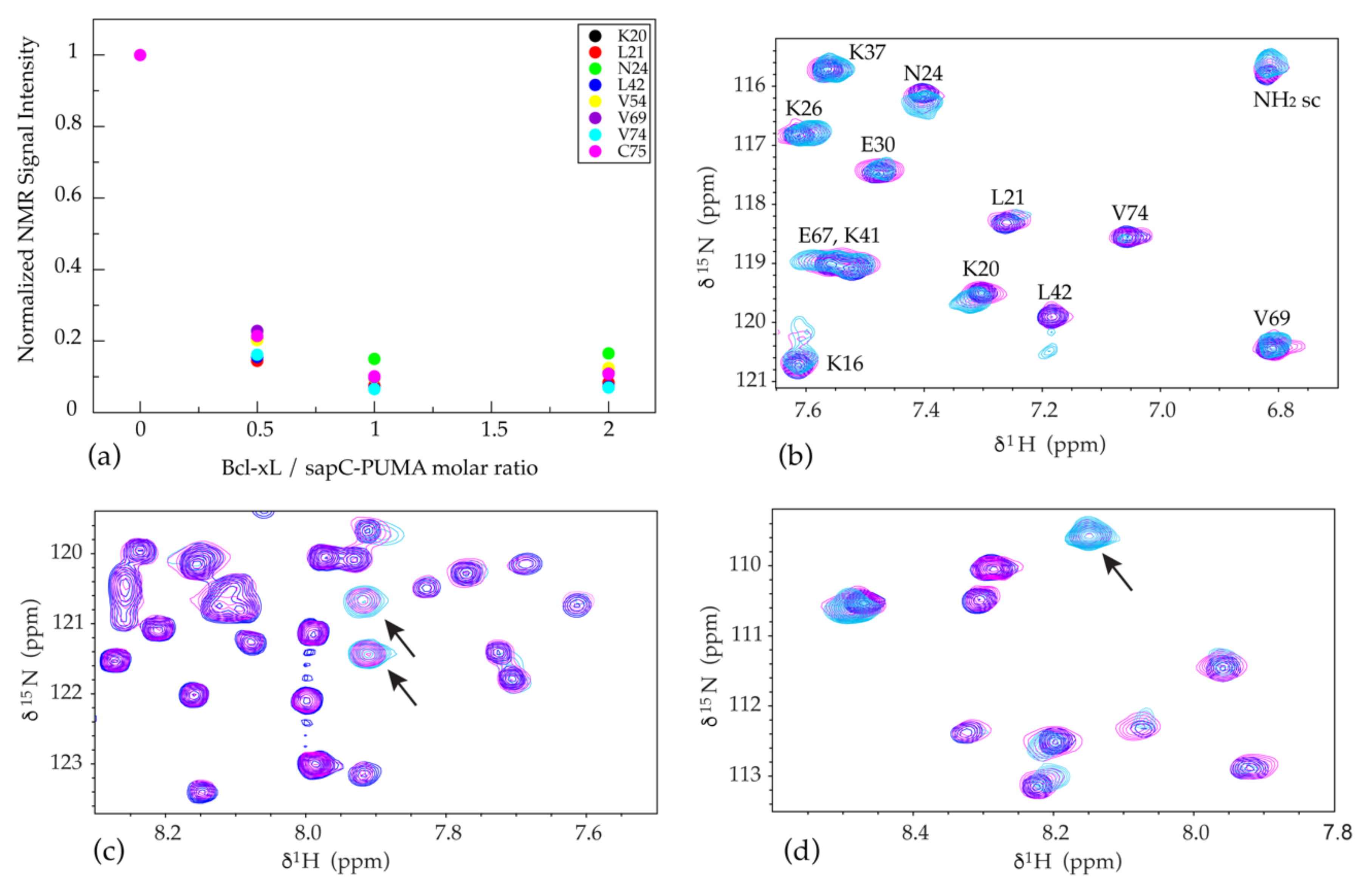 Pharmaceutics 13 00583 g008 Pharmaceutics 13 00583 g008