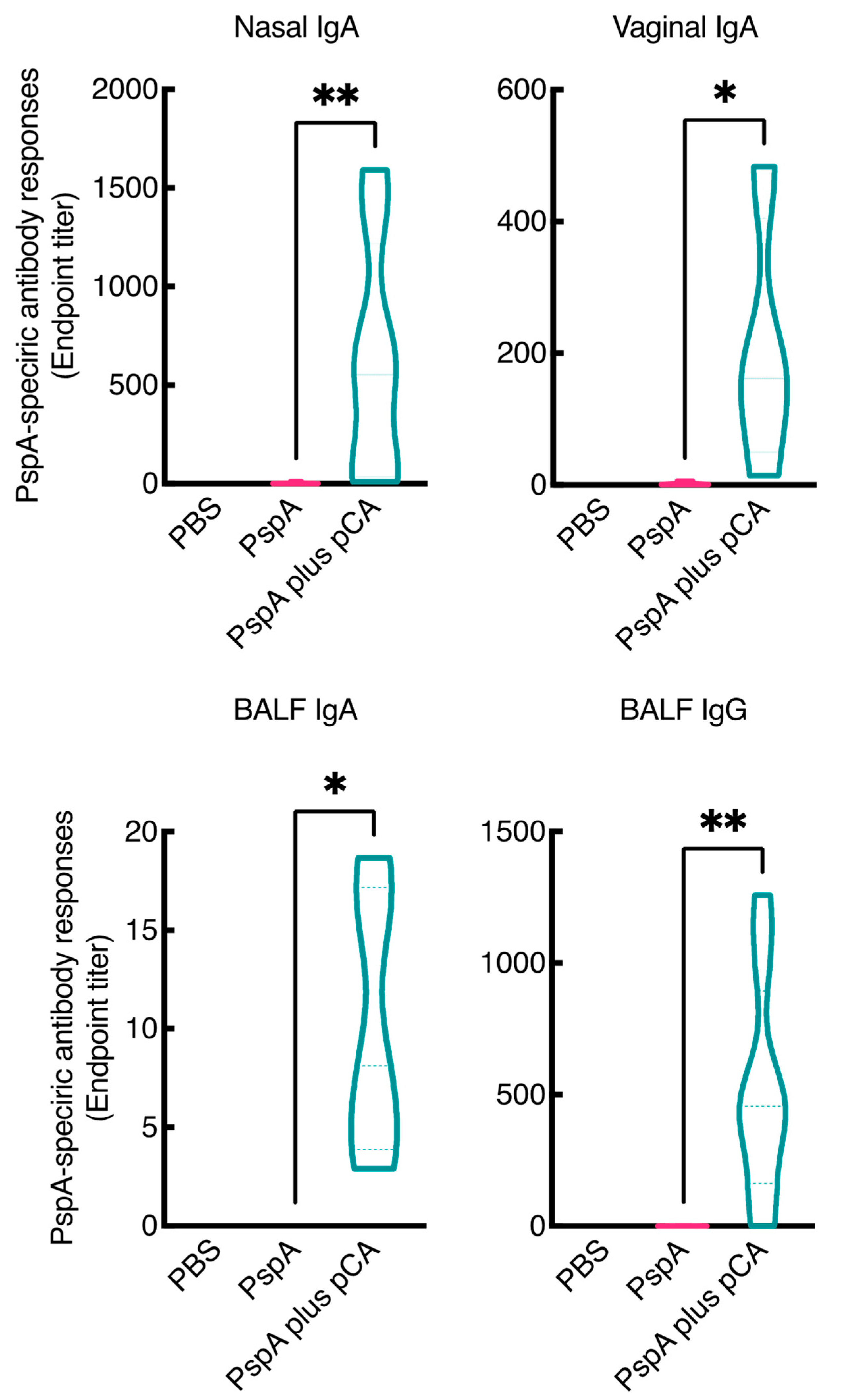 Pharmaceutics 13 00585 g001