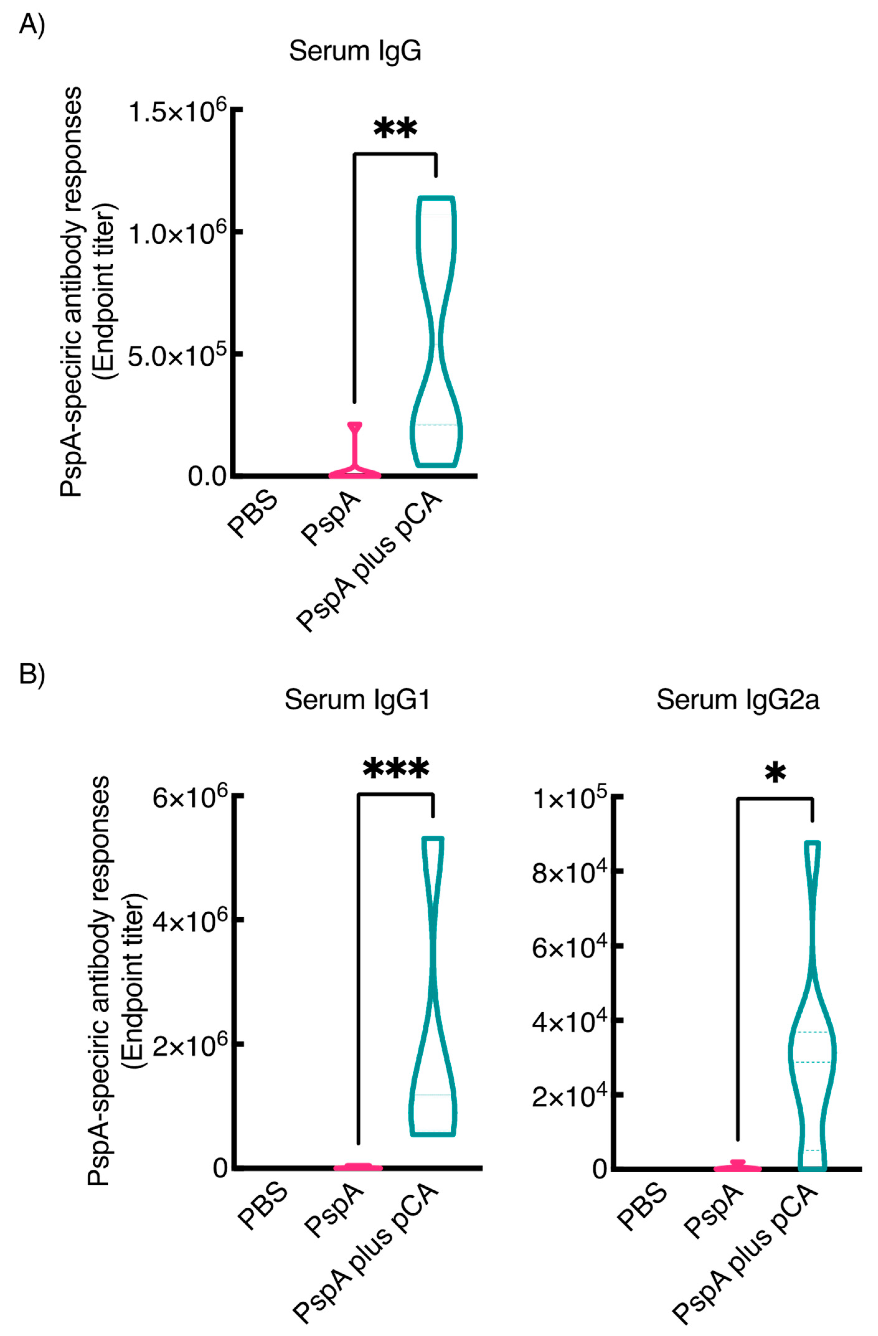 Pharmaceutics 13 00585 g002