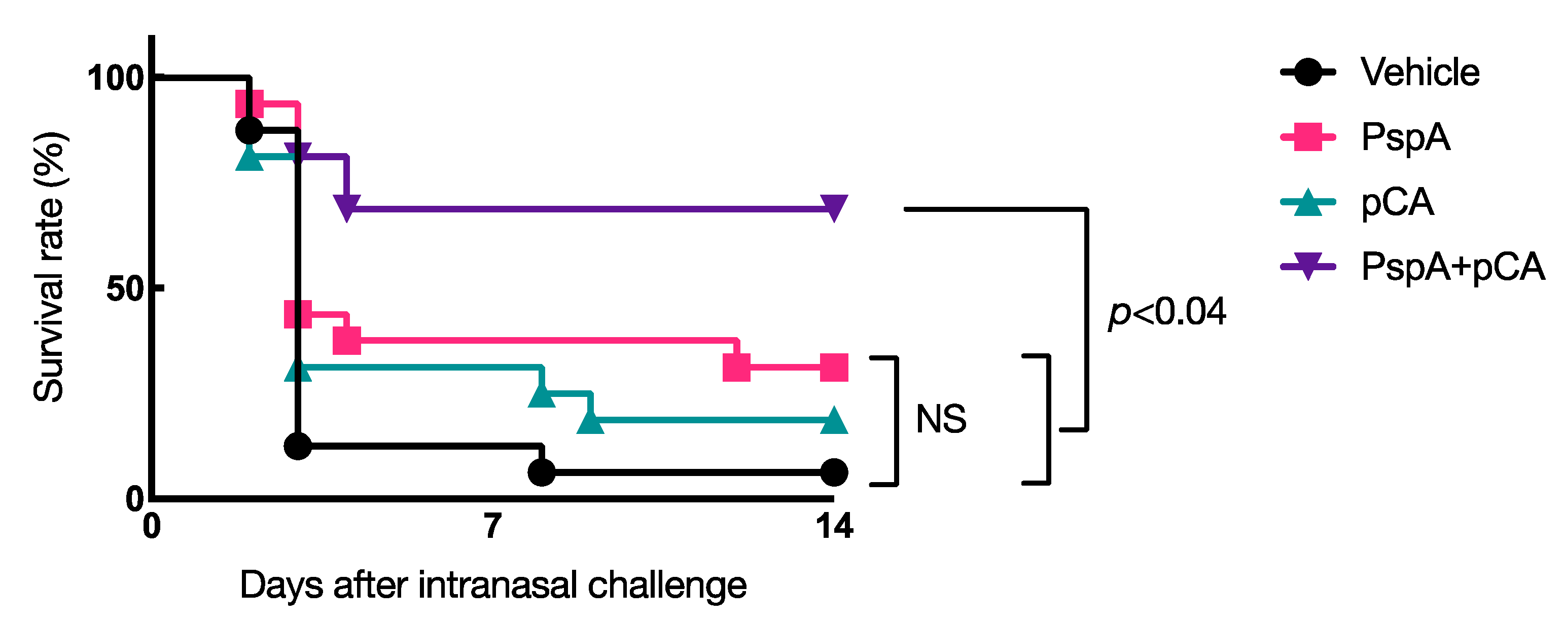 Pharmaceutics 13 00585 g003