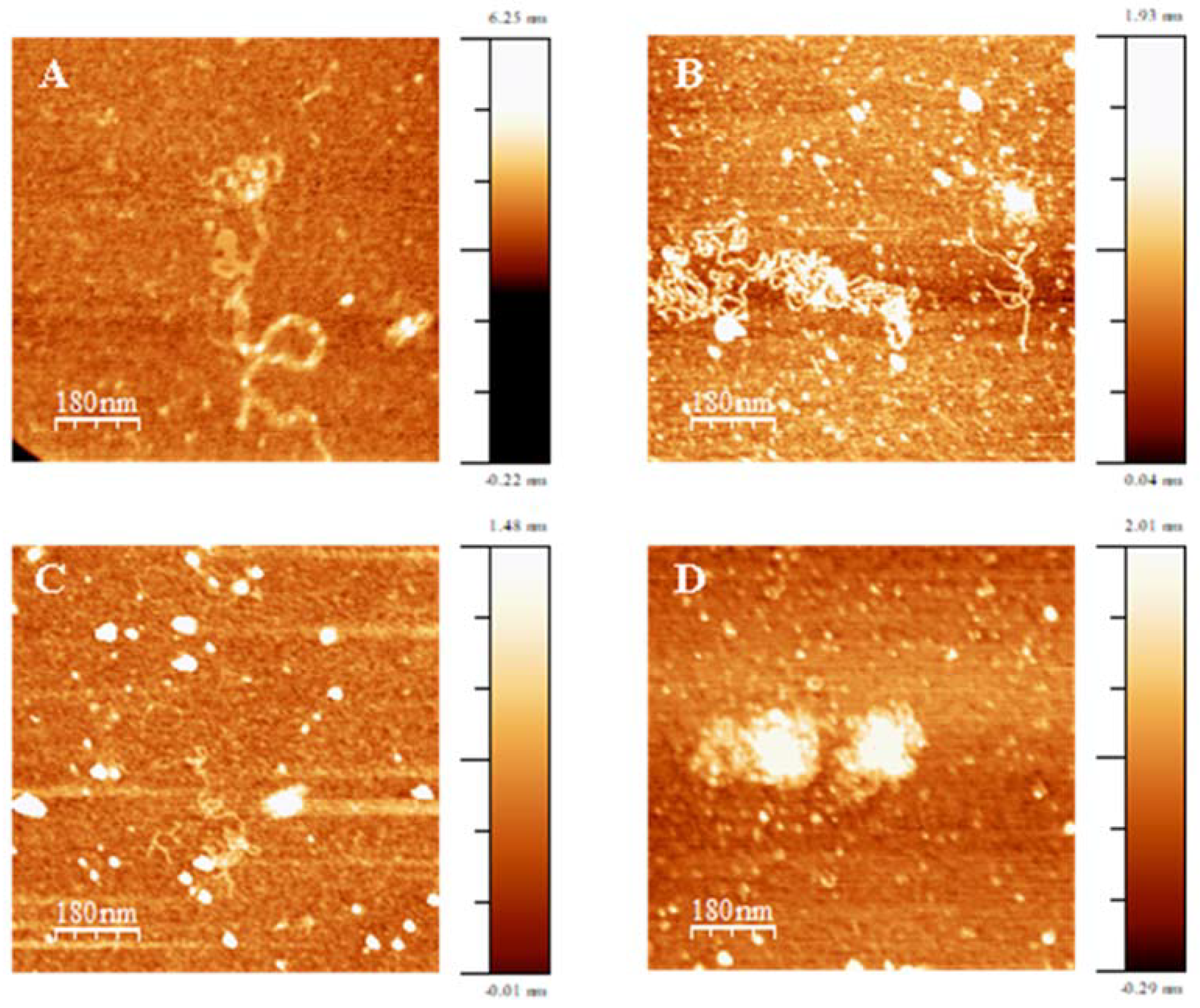 Pharmaceutics 13 00589 g003 Pharmaceutics 13 00589 g003
