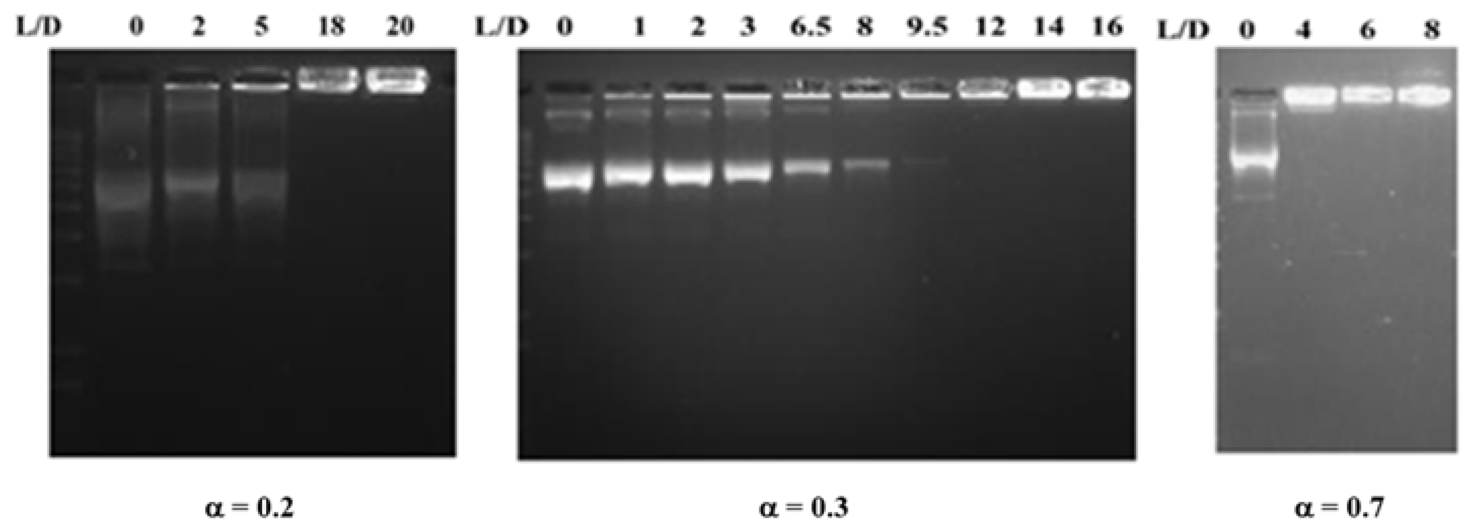 Pharmaceutics 13 00589 g006 Pharmaceutics 13 00589 g006