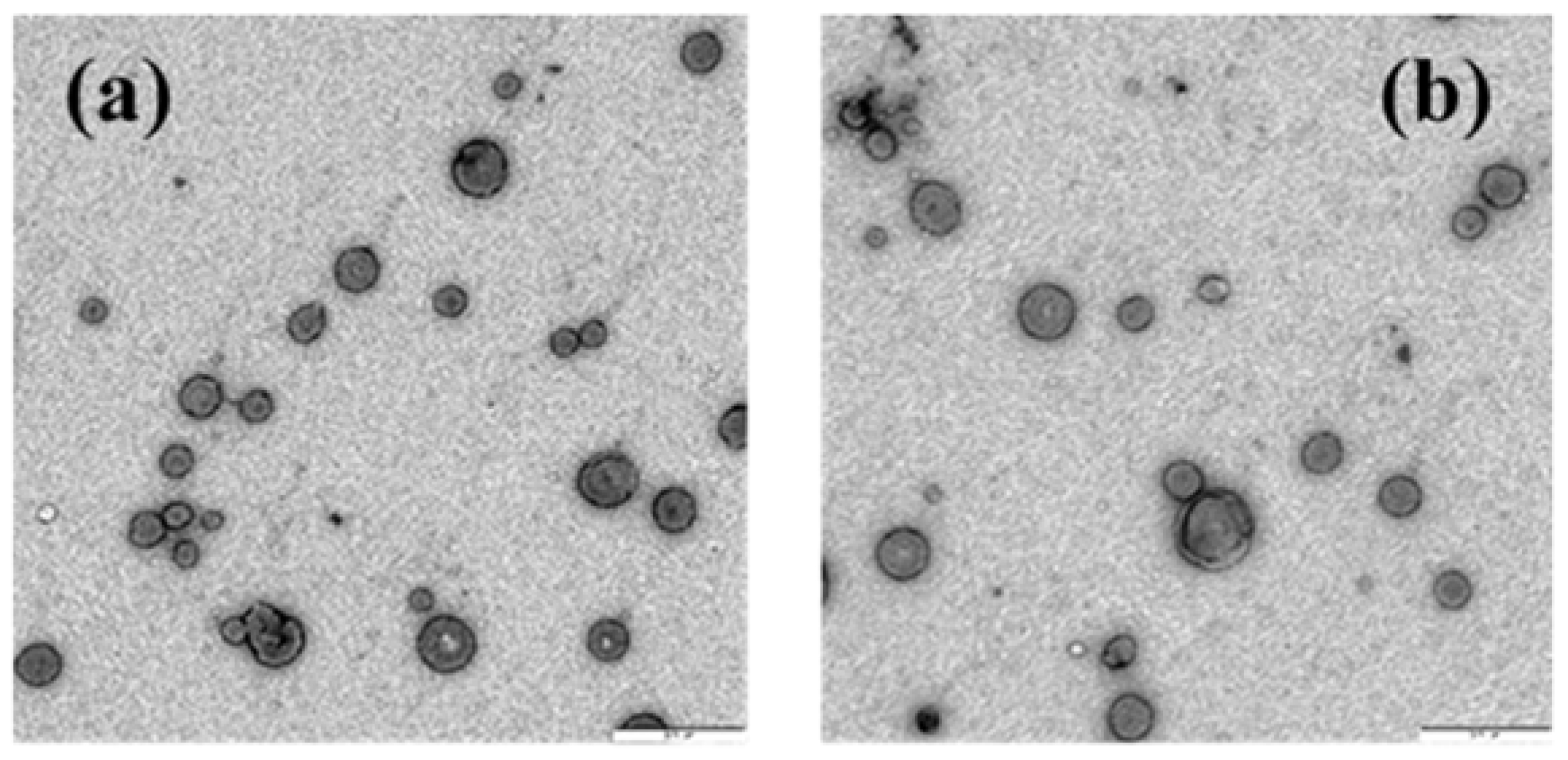 Pharmaceutics 13 00589 g008 Pharmaceutics 13 00589 g008