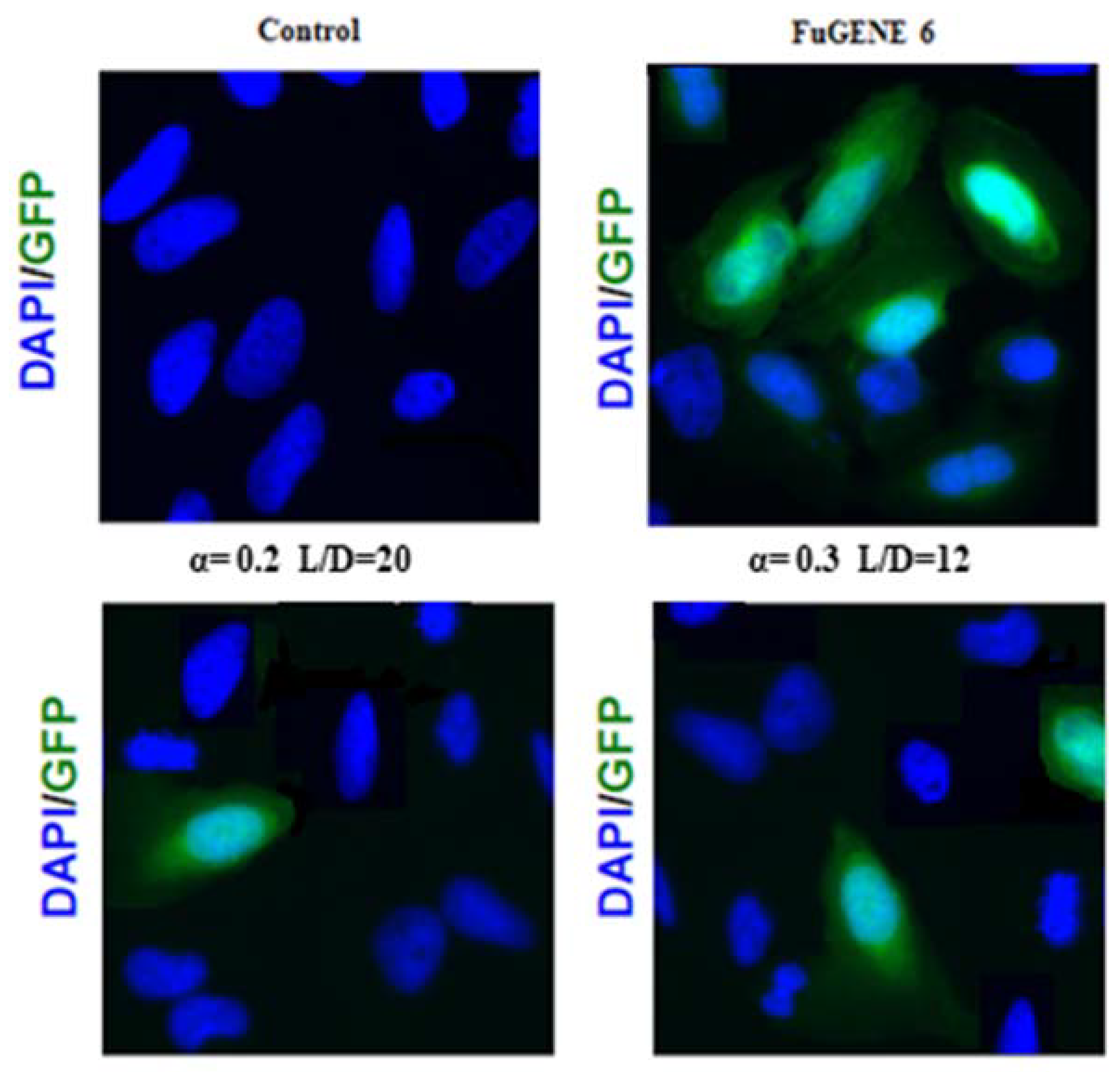 Pharmaceutics 13 00589 g011 Pharmaceutics 13 00589 g011