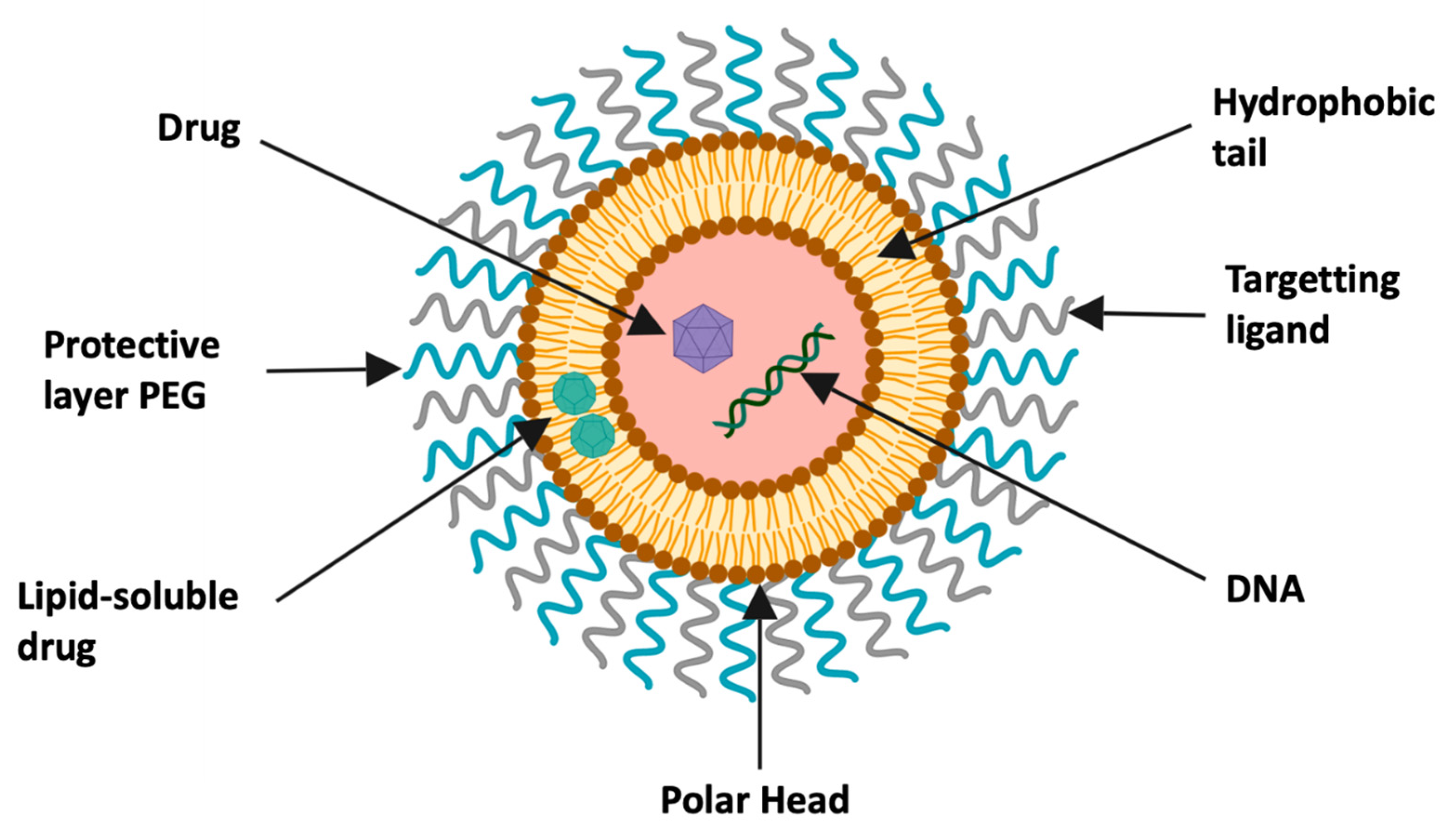 Pharmaceutics 13 00591 g004