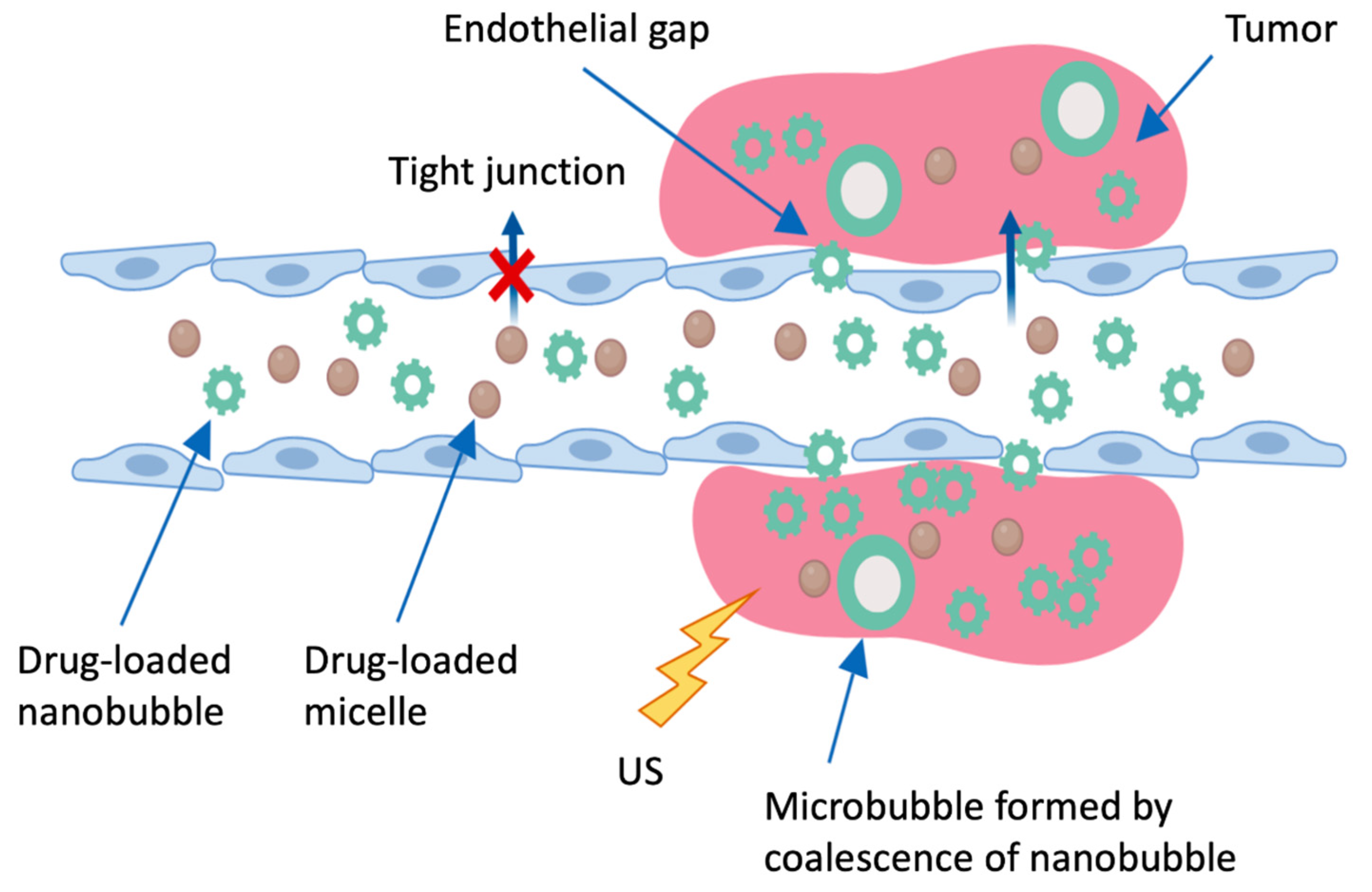 Pharmaceutics 13 00591 g006